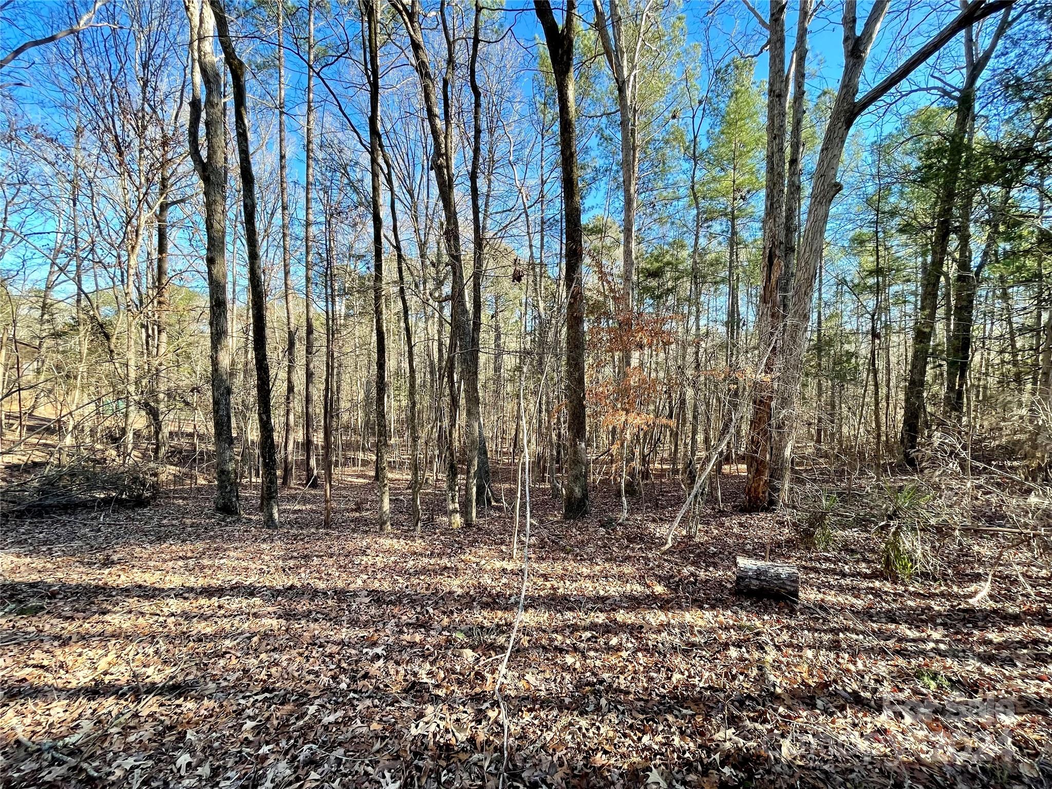 Waxhaw Village - Land