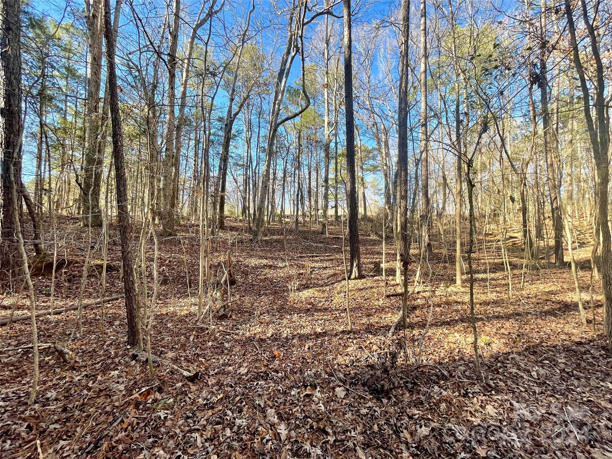 Waxhaw Village - Land