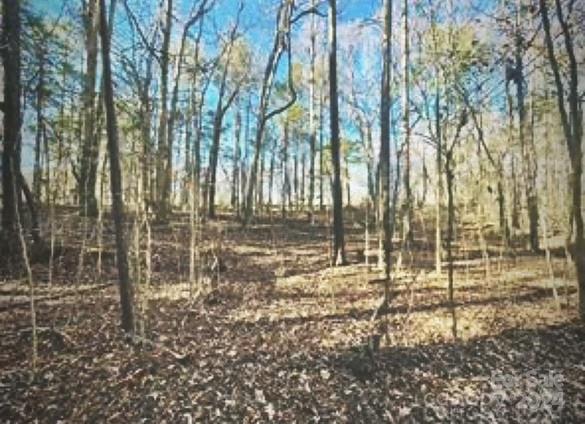 Waxhaw Village - Land