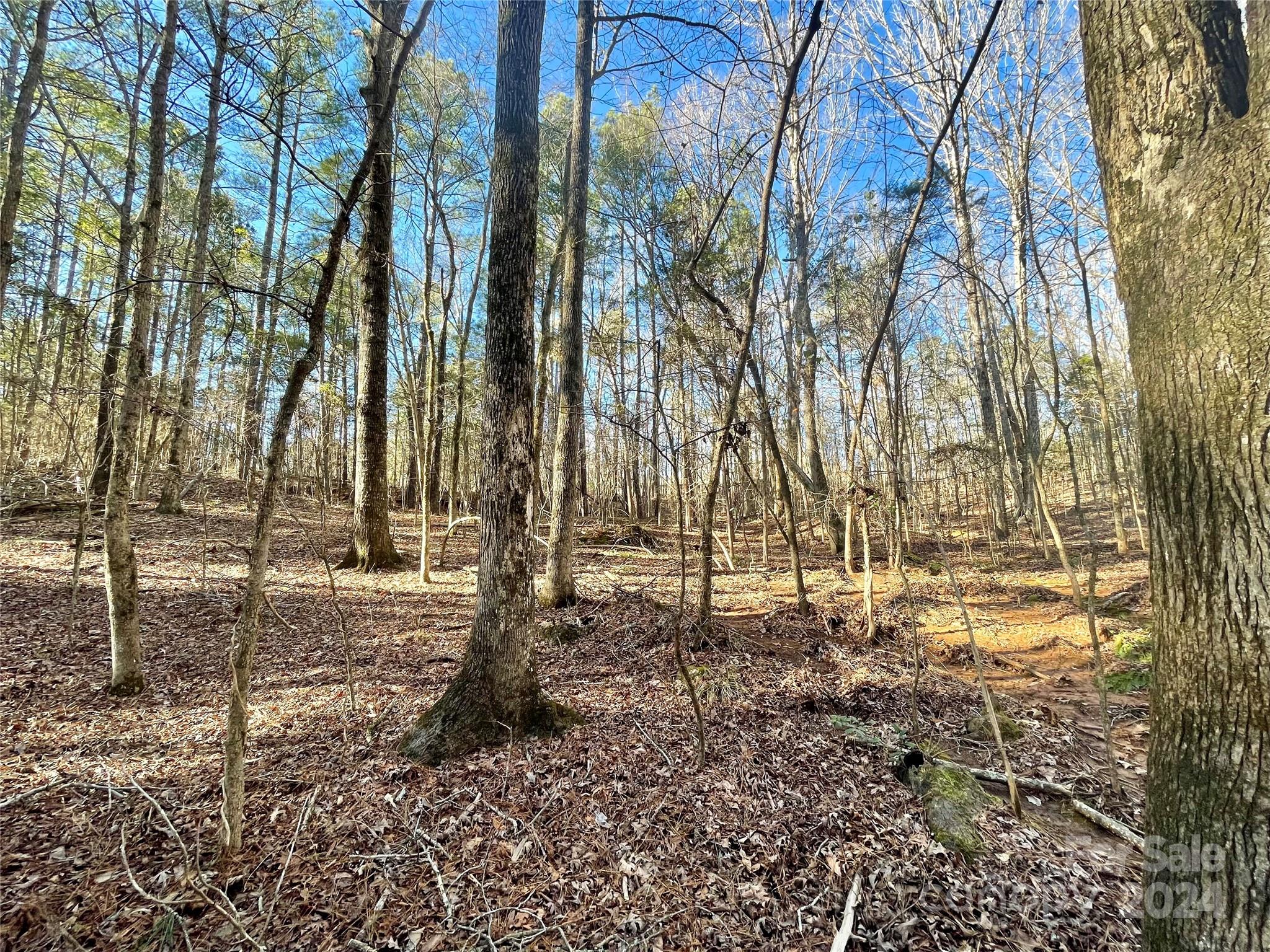Waxhaw Village - Land