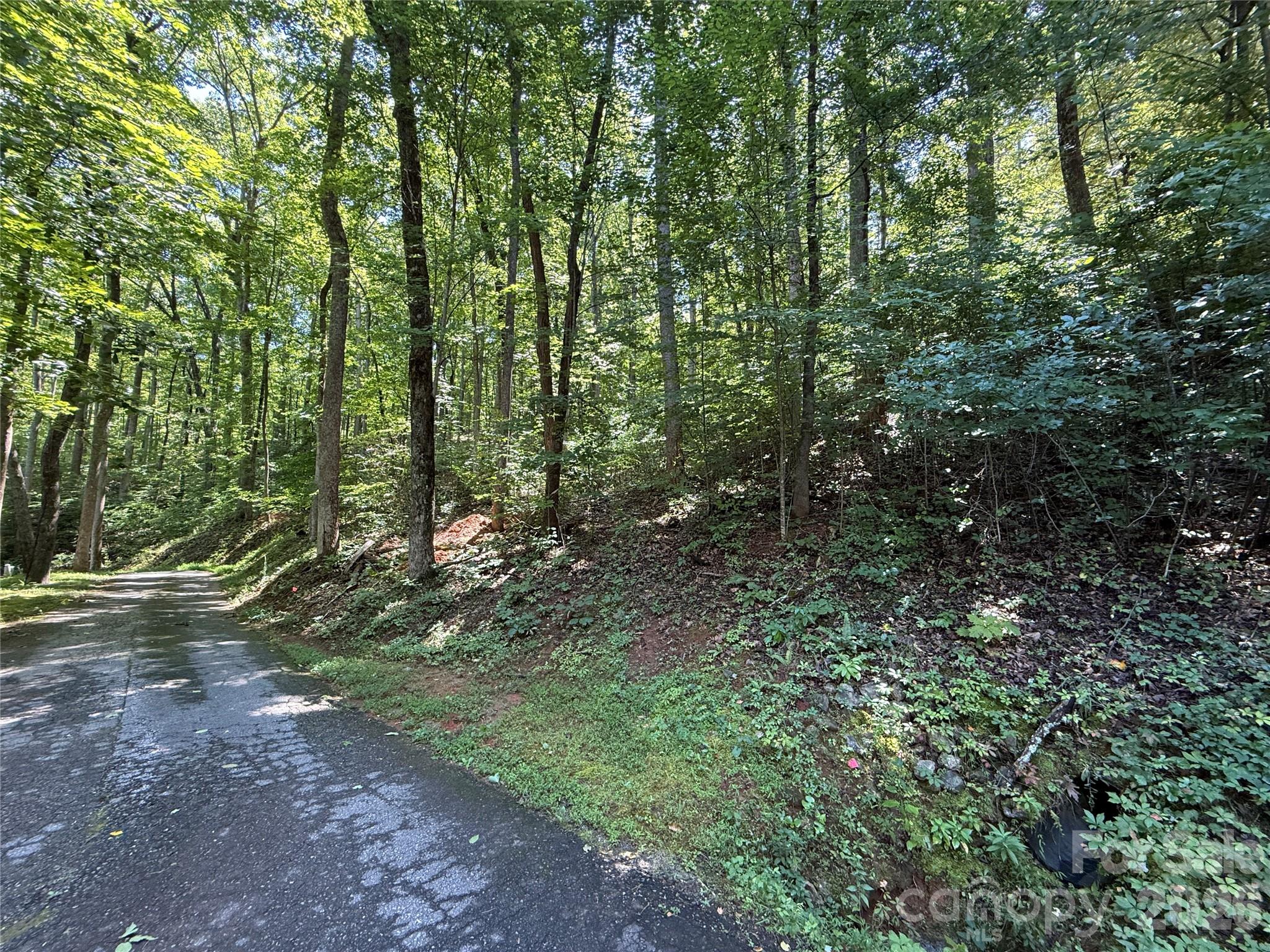 Lot 114 High Pines Loop