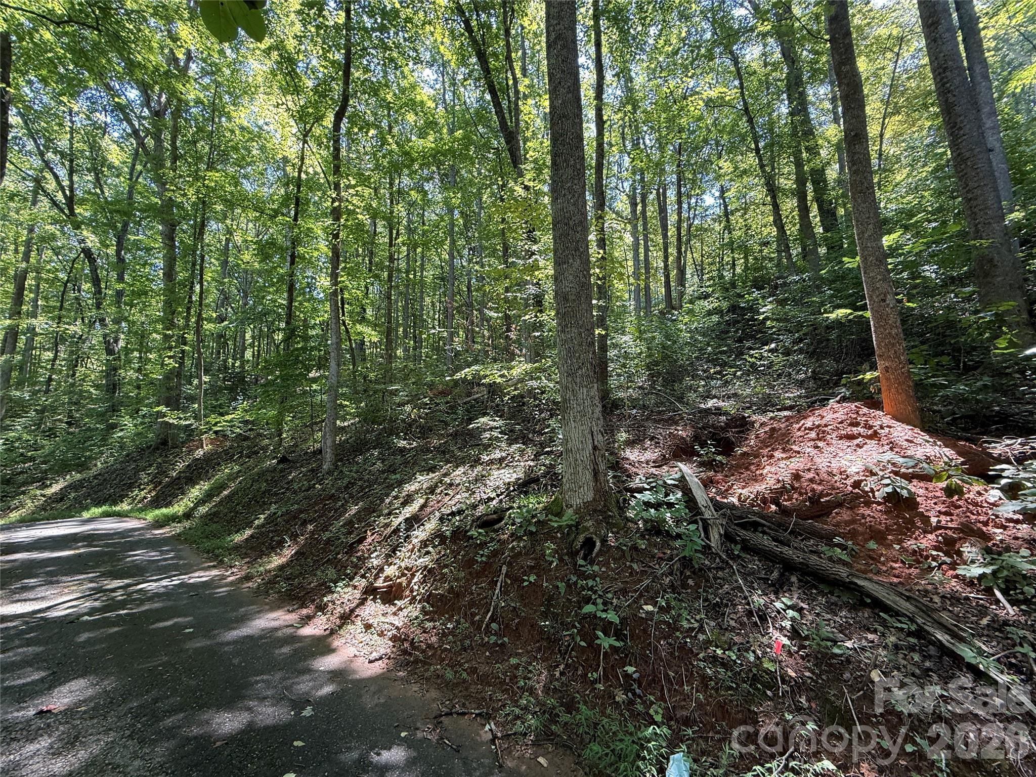 Lot 114 High Pines Loop