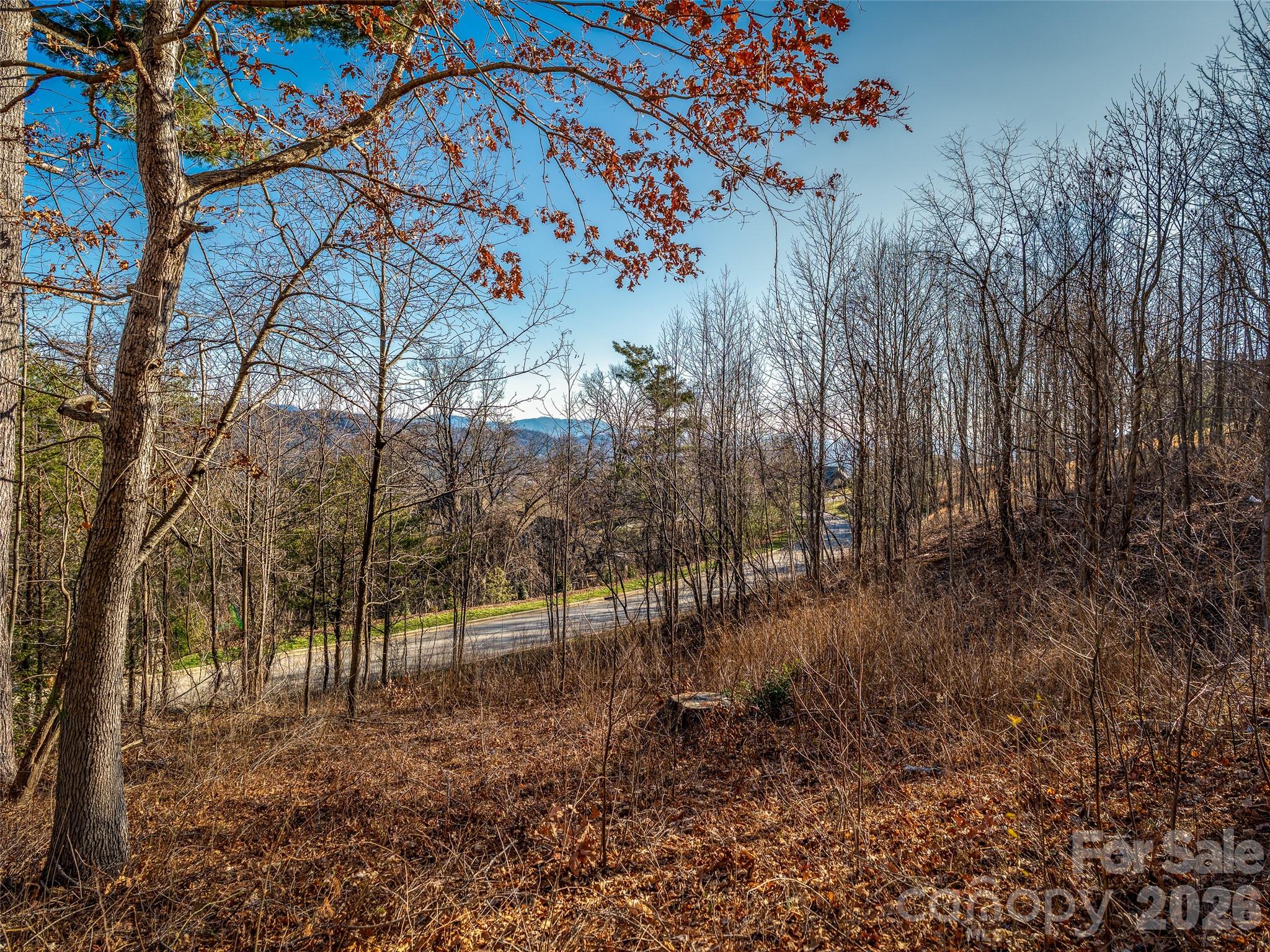 167 Summit Tower Circle