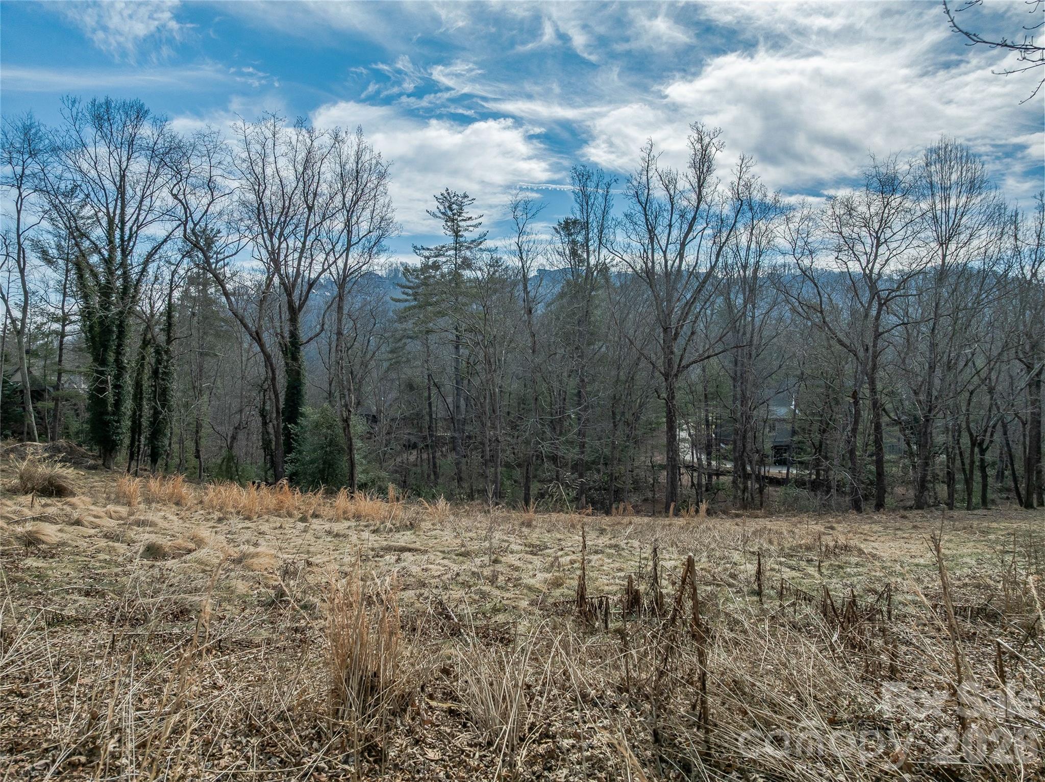 The Cliffs at Walnut Cove - Residential