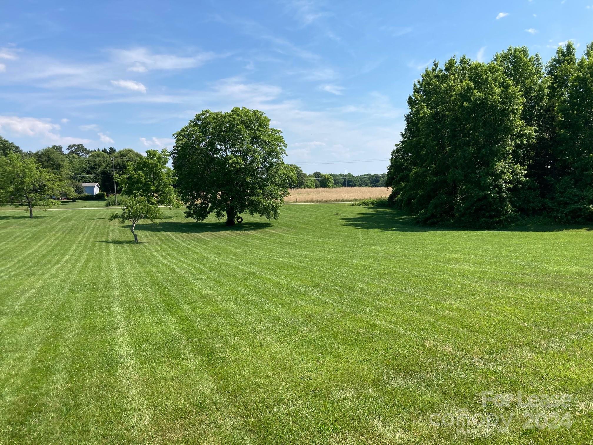 None - Residential Lease