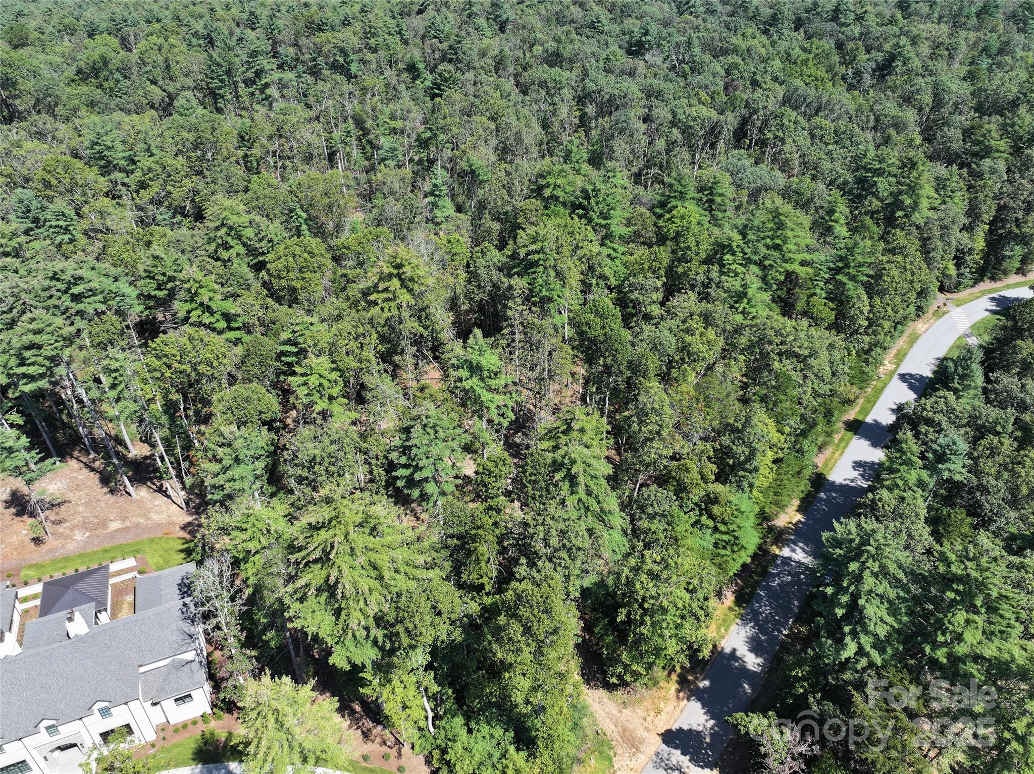 Ramble Biltmore Forest - Land