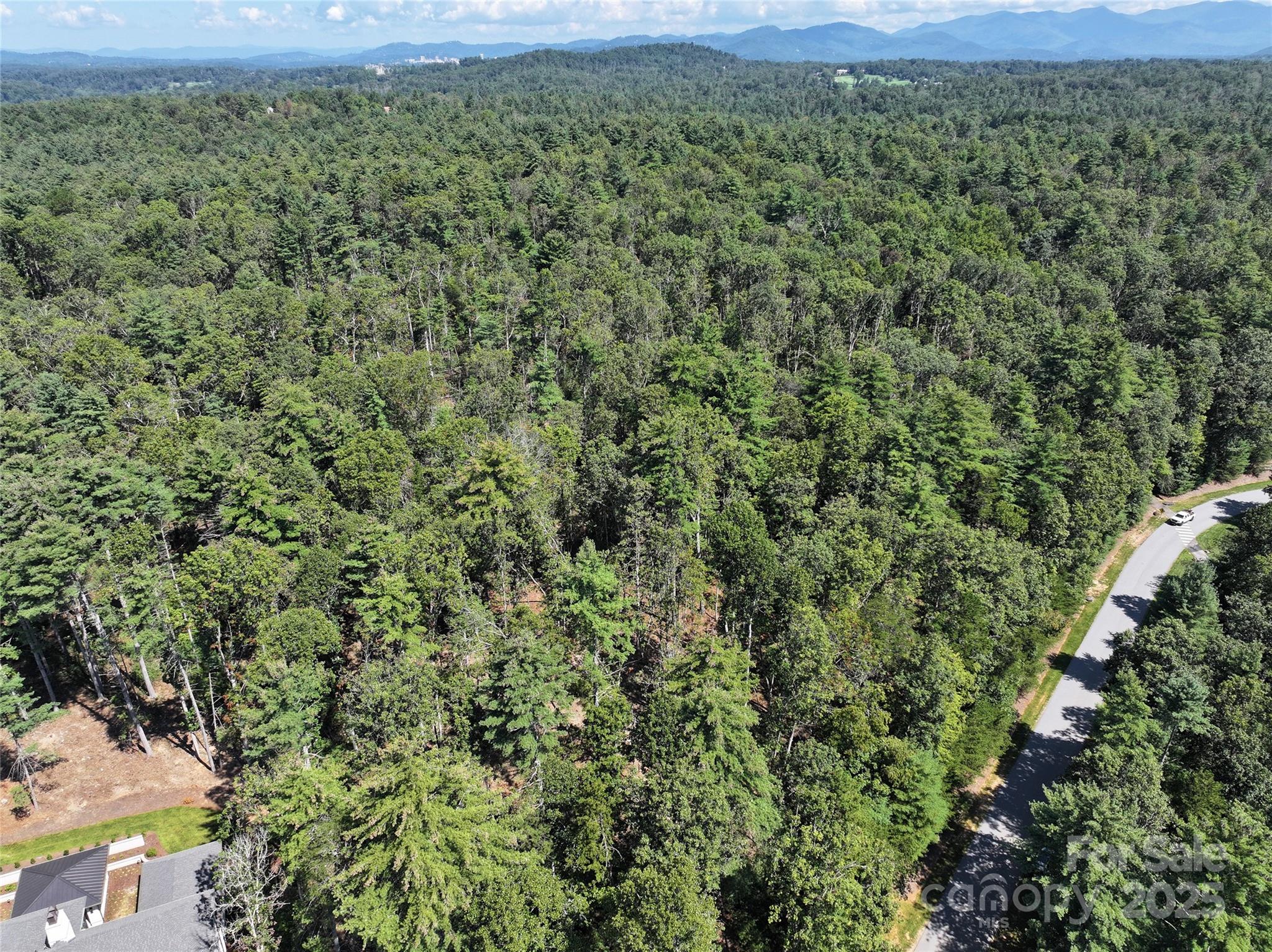 Ramble Biltmore Forest - Land