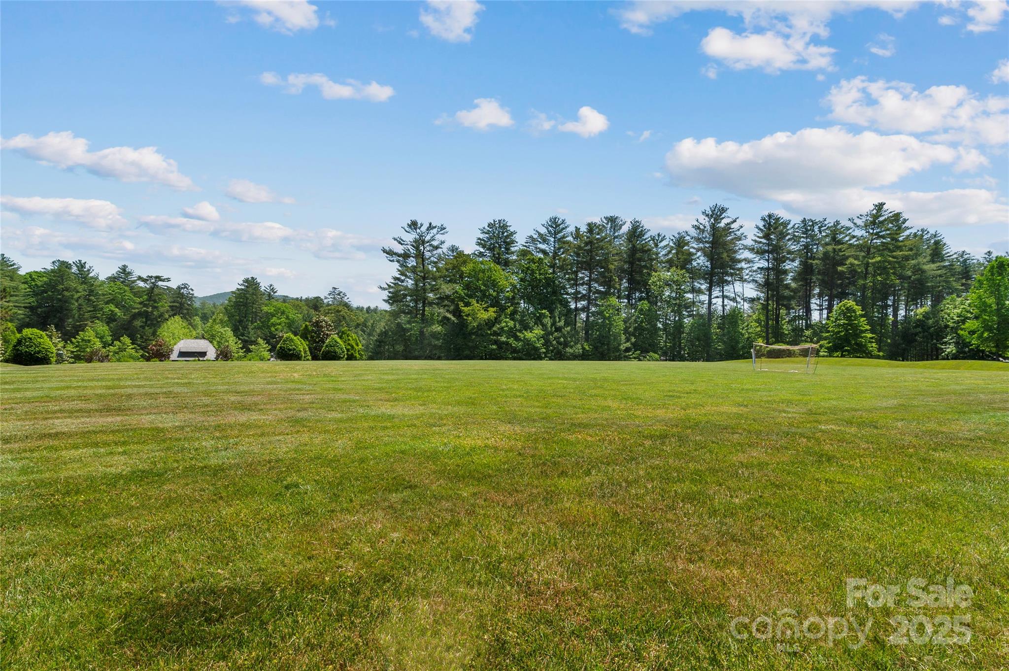 Ramble Biltmore Forest - Land