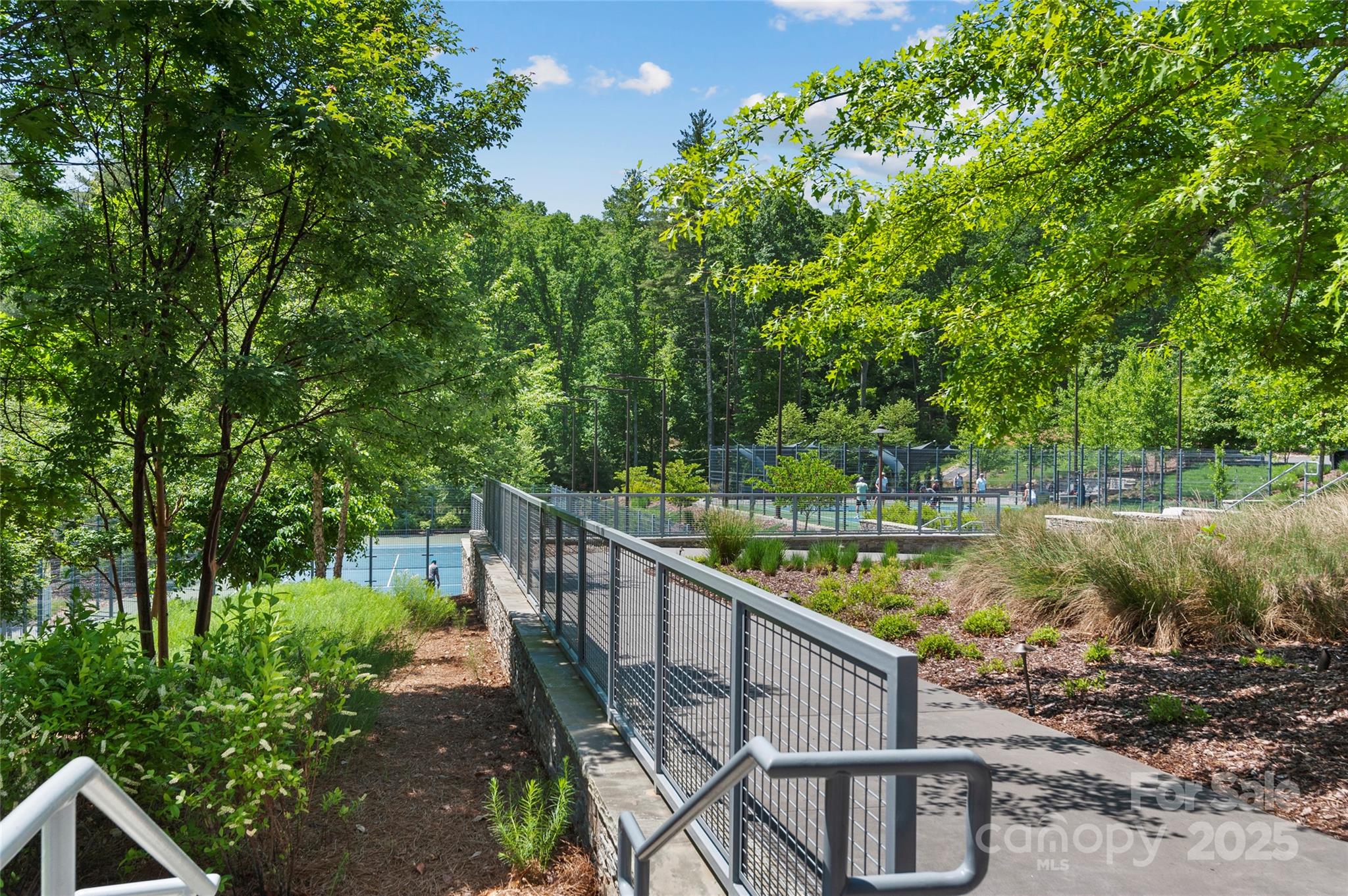 Ramble Biltmore Forest - Land