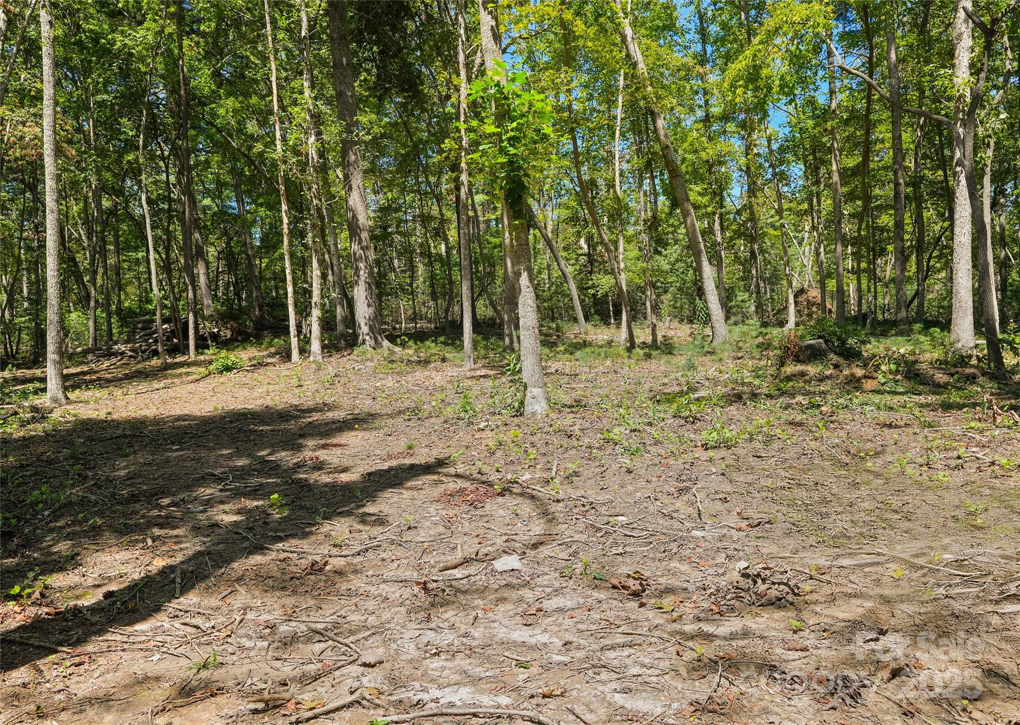 Ramble Biltmore Forest - Land