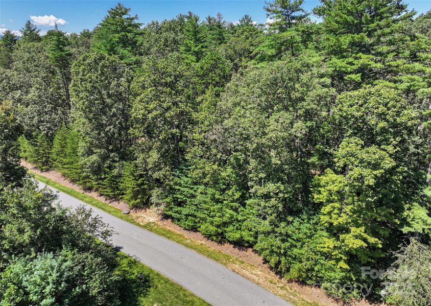 Within the storied gates of The Ramble Biltmore Forest, this exceptional 1.92-acre homesite offers a rare balance of natural beauty, convenience and timeless elegance. Set on a quiet, tree-lined street, the expansive and level parcel provides an ideal canvas for a refined architectural vision, with an easy build site and proximity to the main gate, ensuring effortless access without sacrificing privacy. Seller plans are available for consideration. The Ramble is more than a neighborhood, it is a sanctuary where nature, art and community converge. Residents enjoy the Living Well Center with a heated saline pool, fitness studio, pickleball courts and fireside gathering spaces curated with art. Historic Buck Spring Cabin recalls the area’s heritage and serves as a warm community gathering place, while Longmeadow Park offers gardens, concerts, recreation fields and firepits. More than seven miles of wooded trails and serene parks complete the setting. This homesite represents a rare opportunity to build within one of Asheville’s sought-after gated communities, where beauty and connection define everyday living.