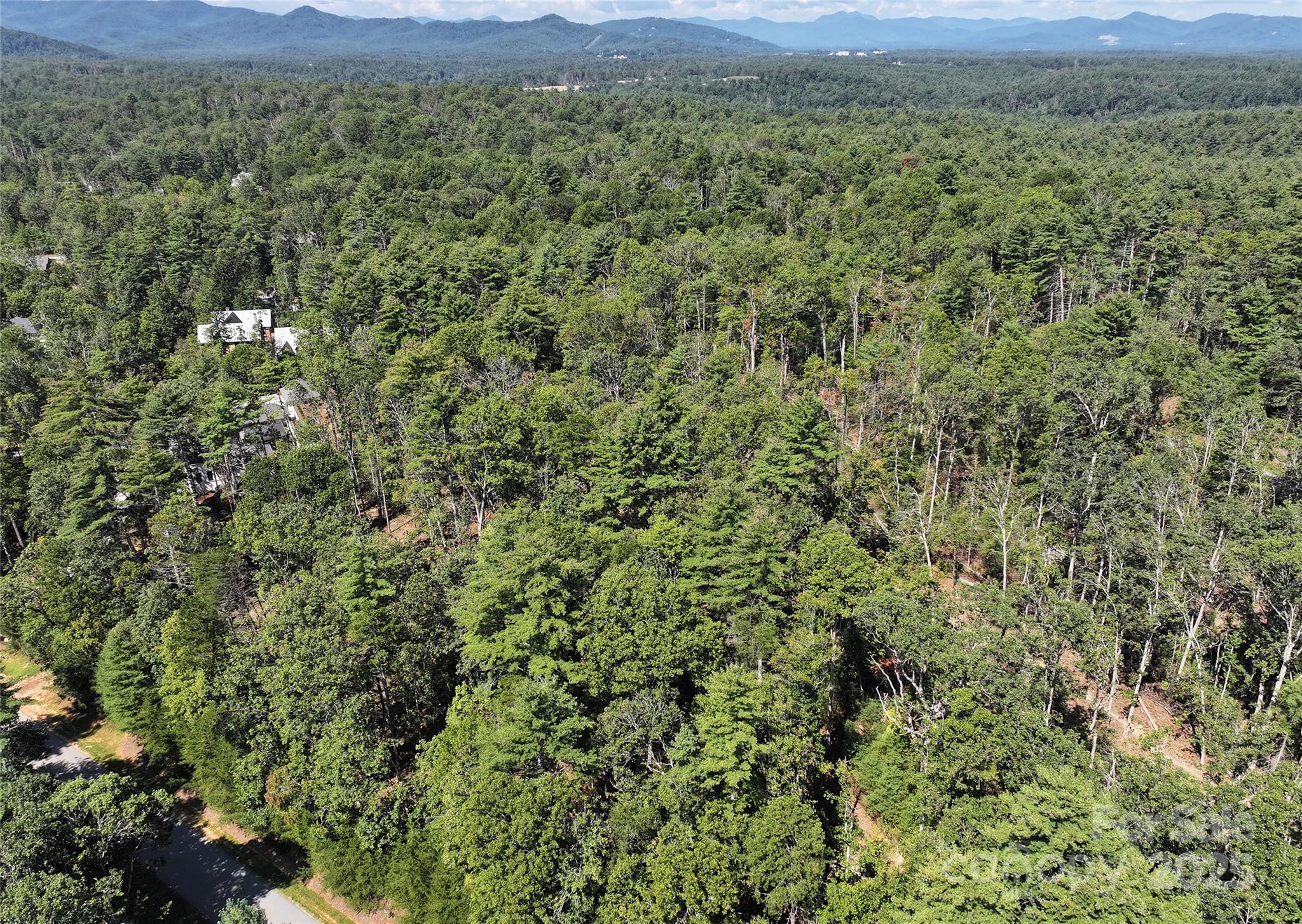 Ramble Biltmore Forest - Land