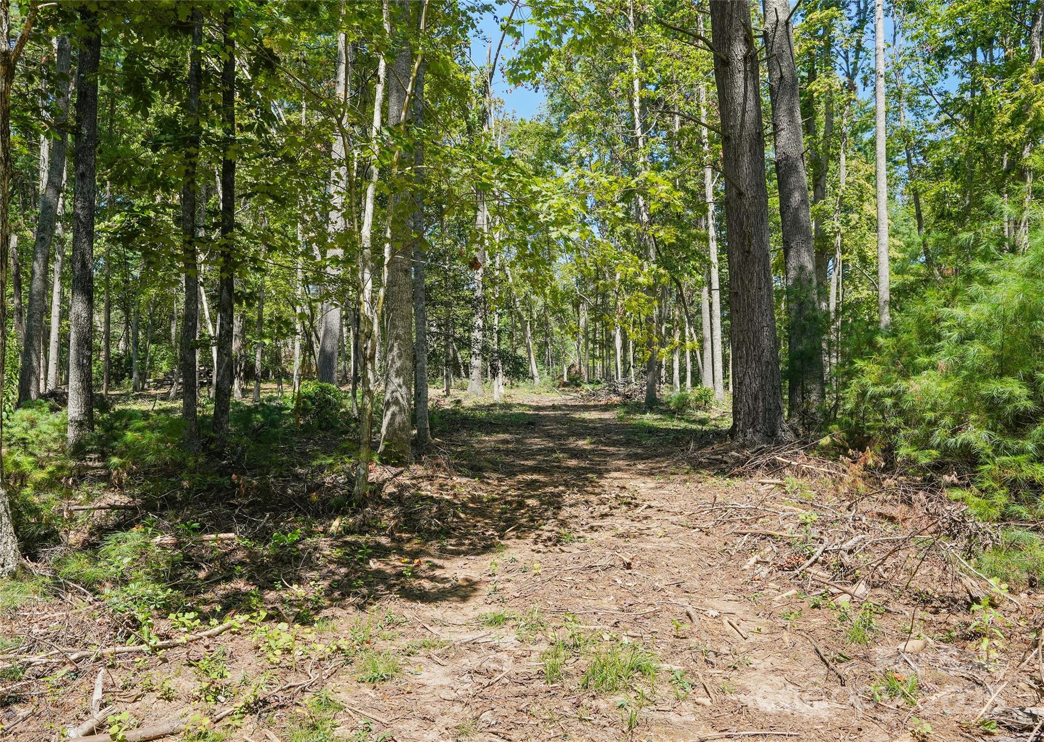Ramble Biltmore Forest - Land