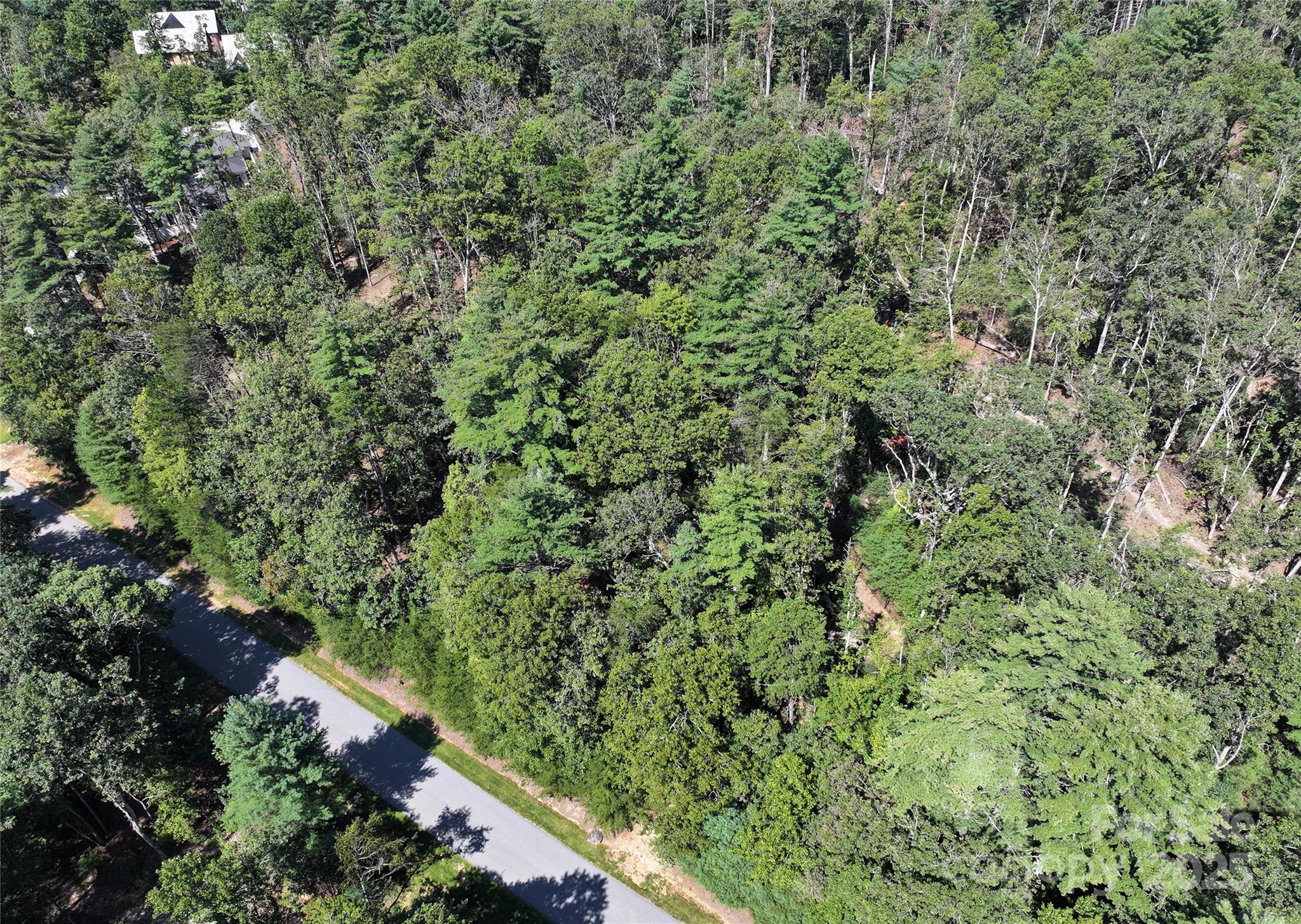 Ramble Biltmore Forest - Land