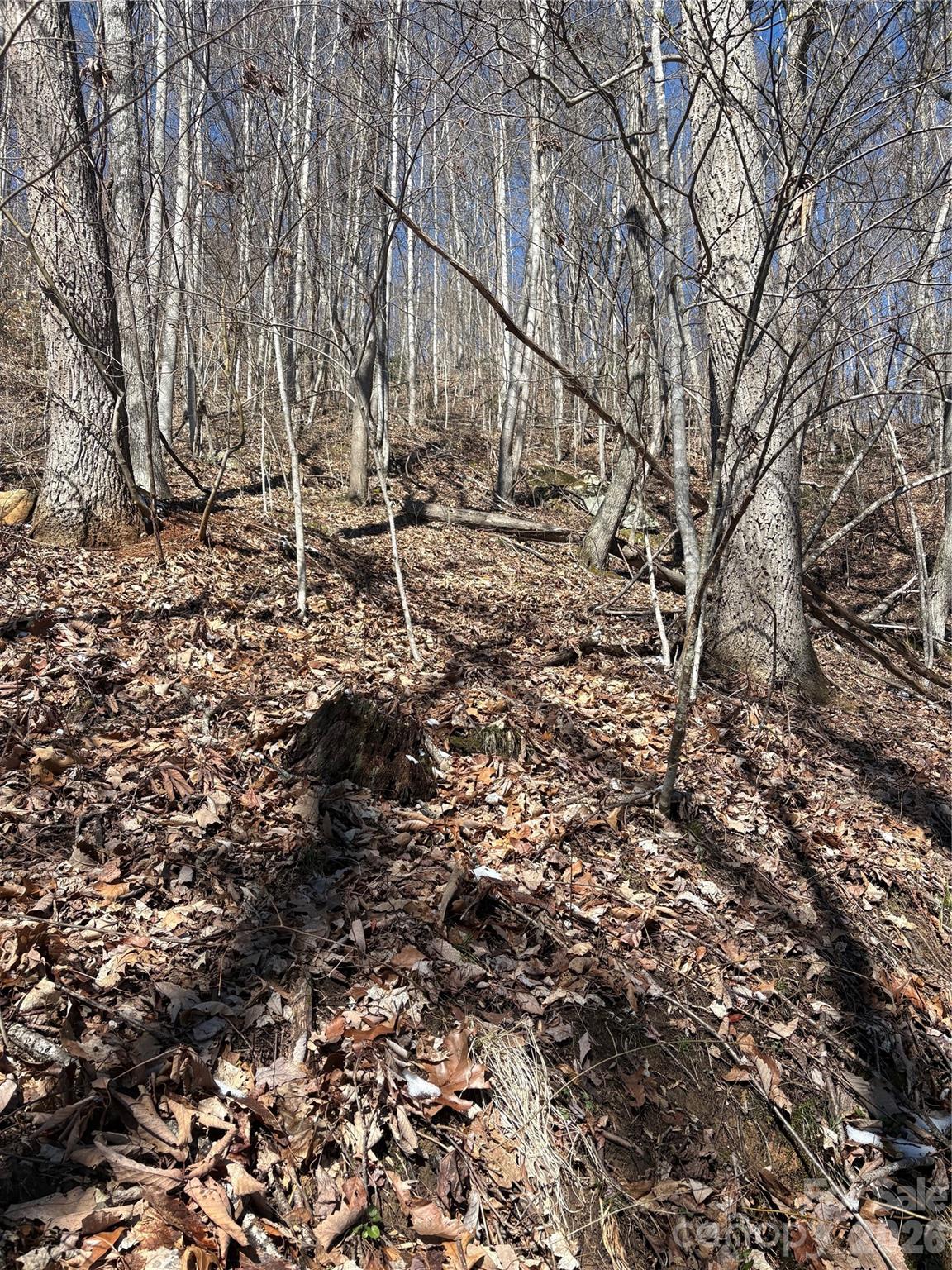 Mountain Park - Land