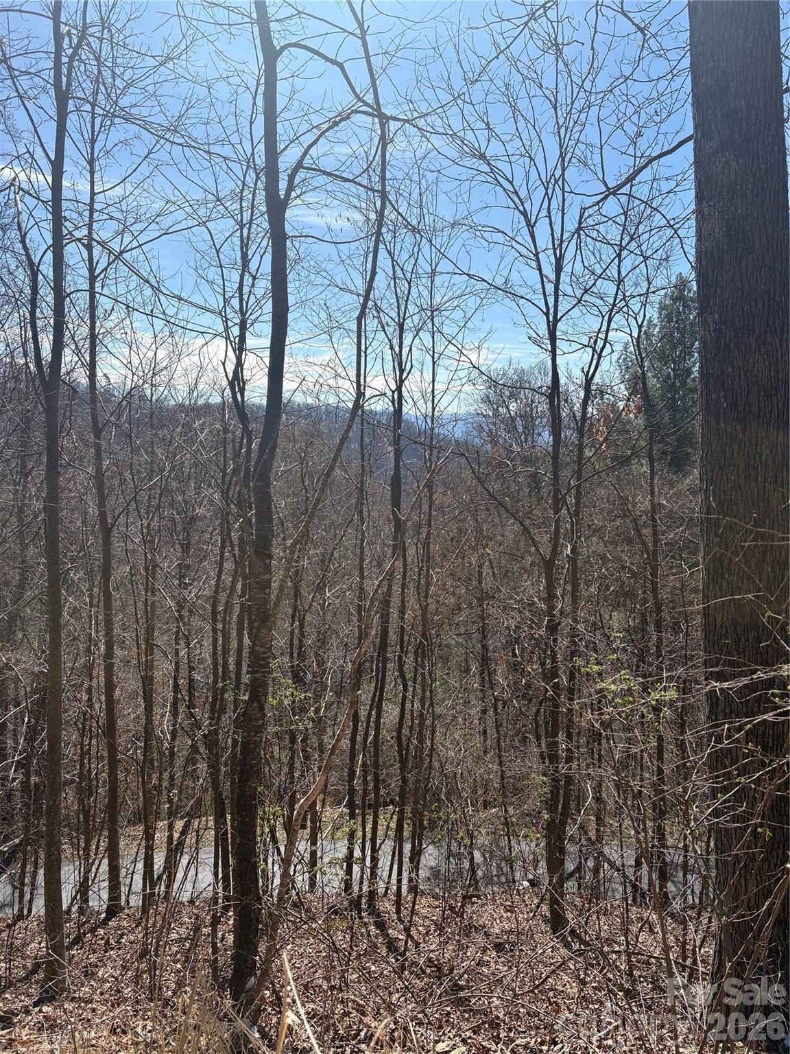 344 Running Deer Lane 71