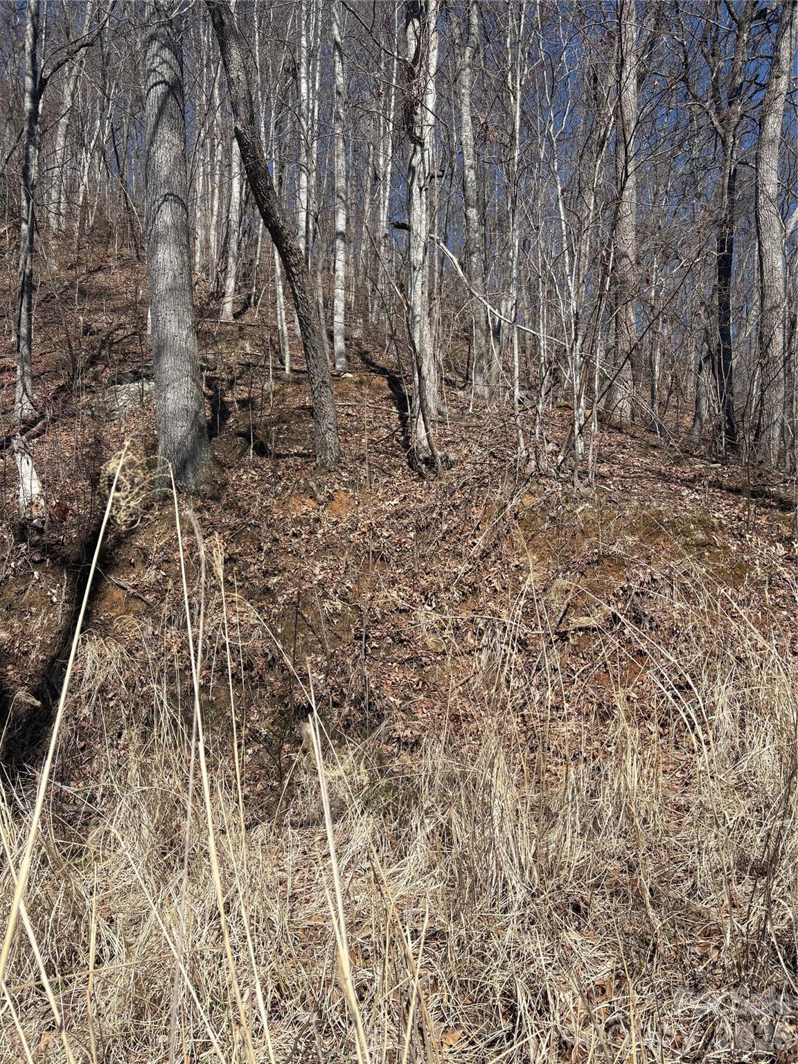 344 Running Deer Lane 71