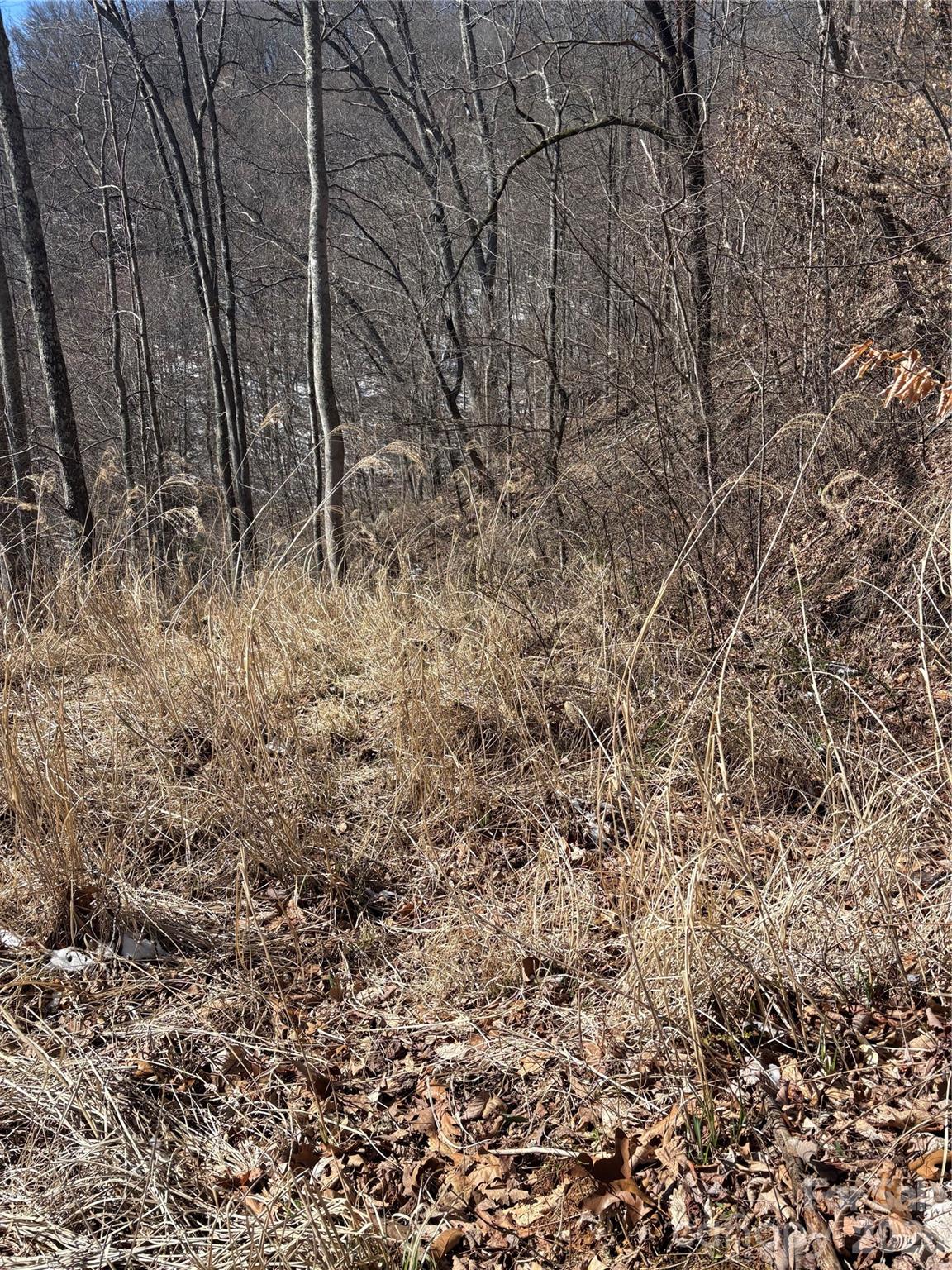 Mountain Park - Land