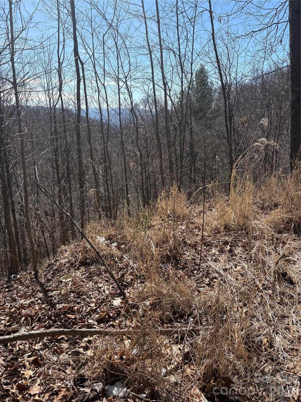 Mountain Park - Land