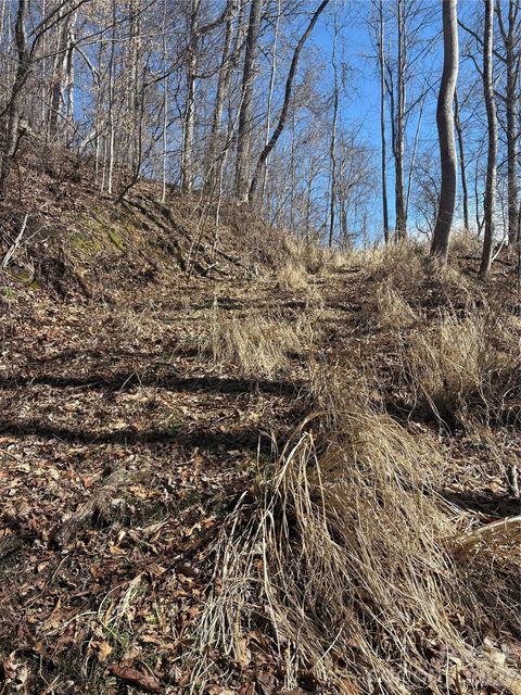 Photo of 344 Running Deer Lane #71, Mars Hill, NC 28754 (MLS # 4360039)