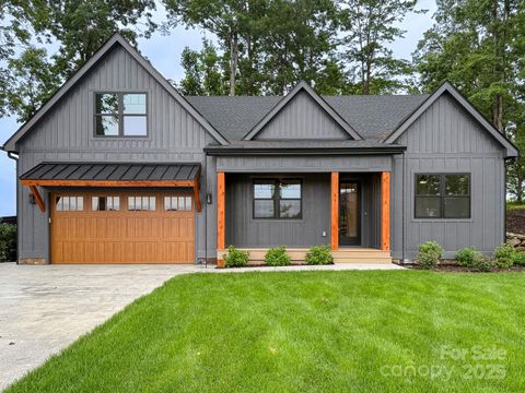 44 Skylar Lane Mills River NC 28759