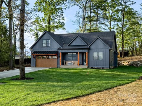 44 Skylar Lane Mills River NC 28759