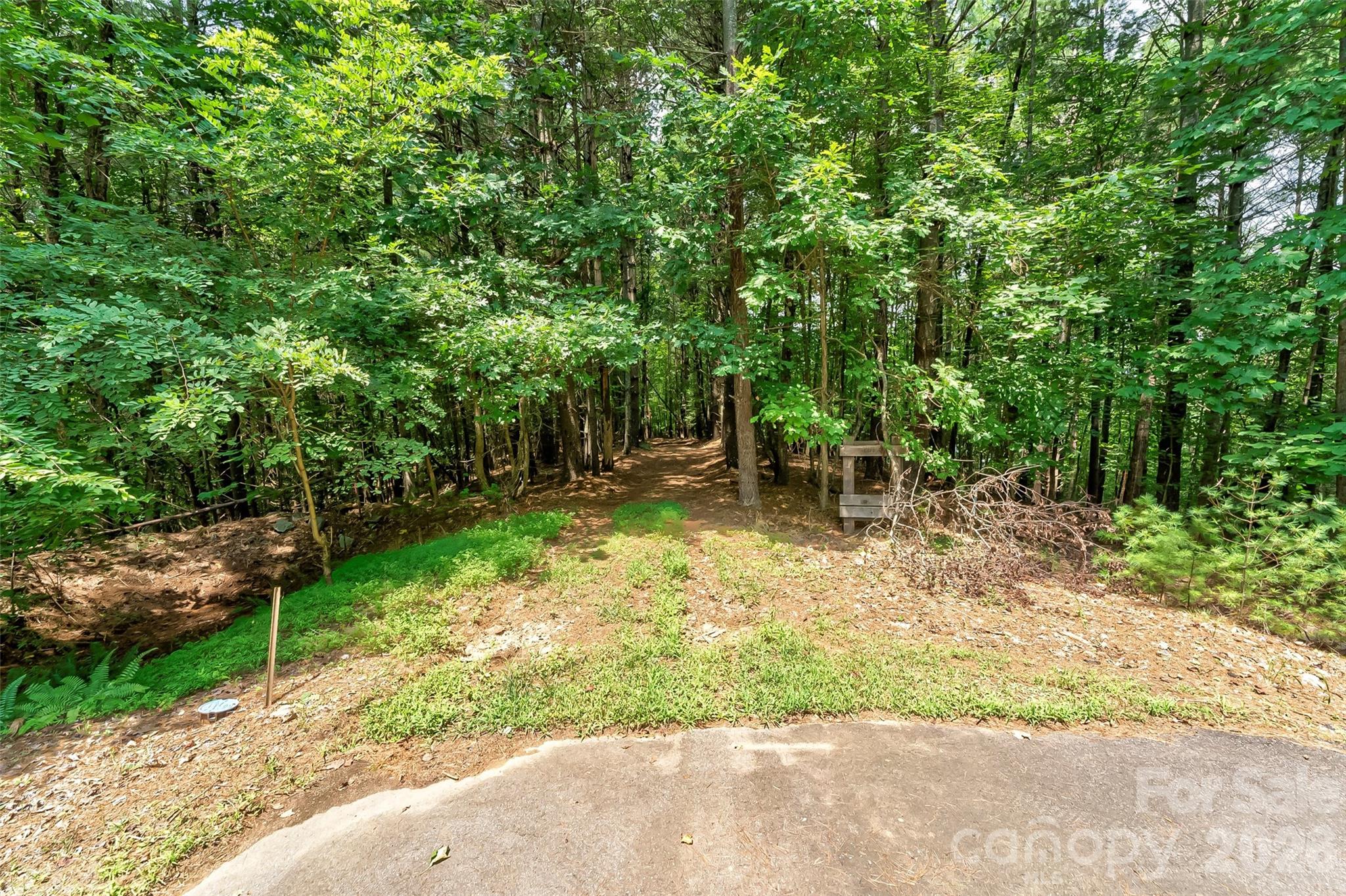 Old Wildlife Club - Land