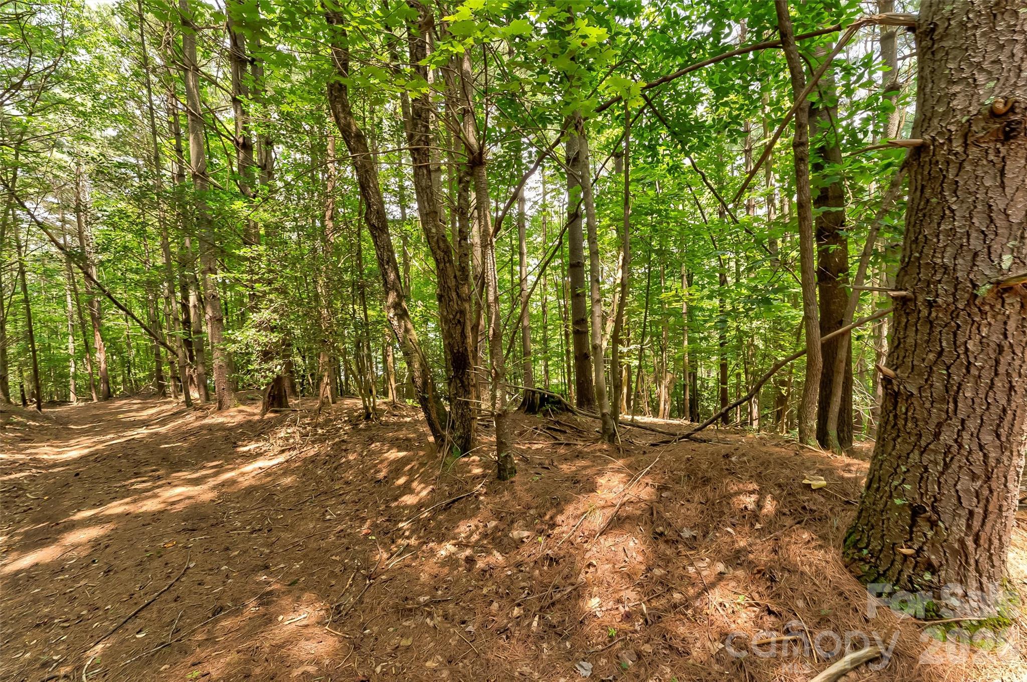 Old Wildlife Club - Land