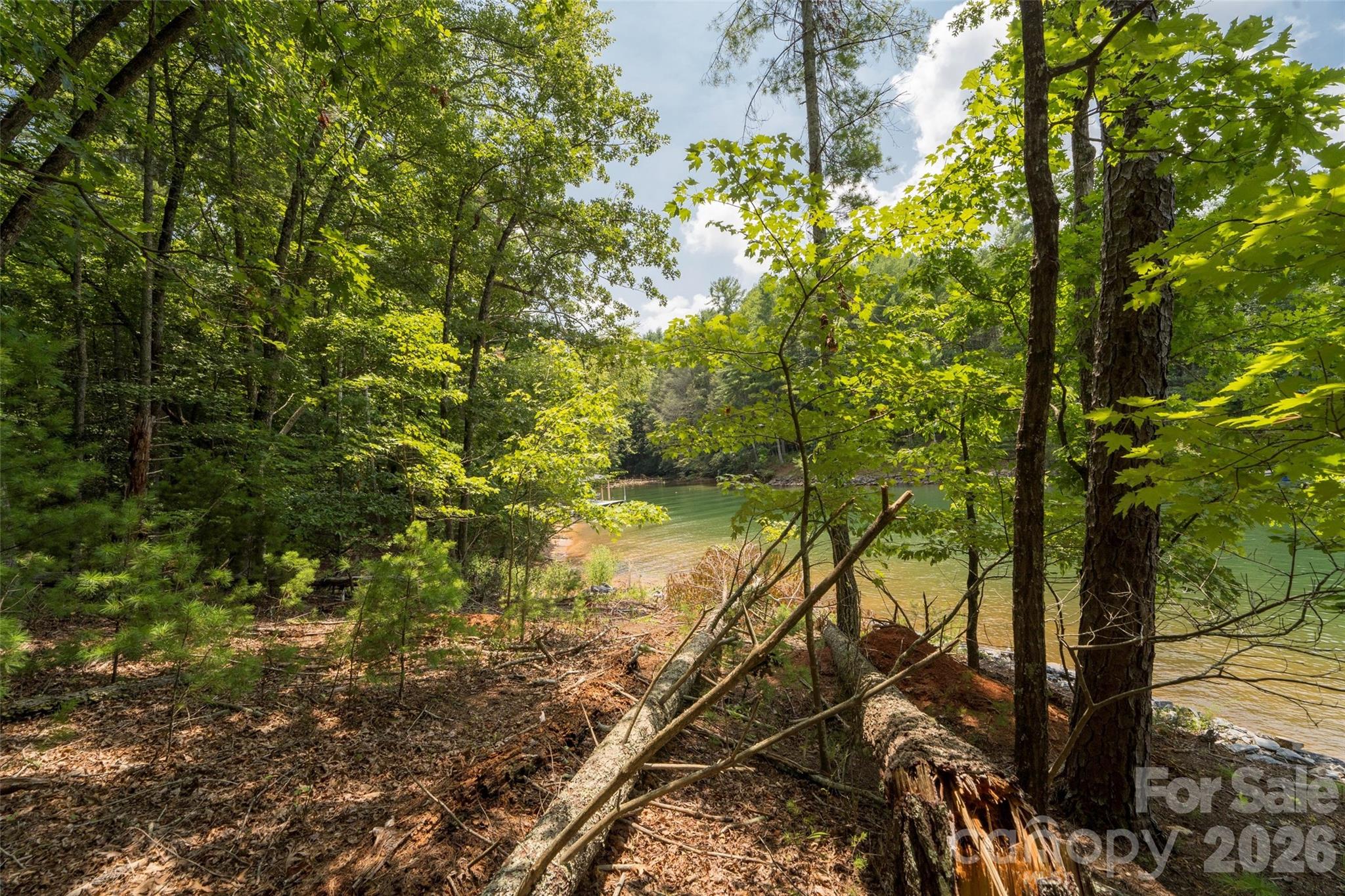 Old Wildlife Club - Land