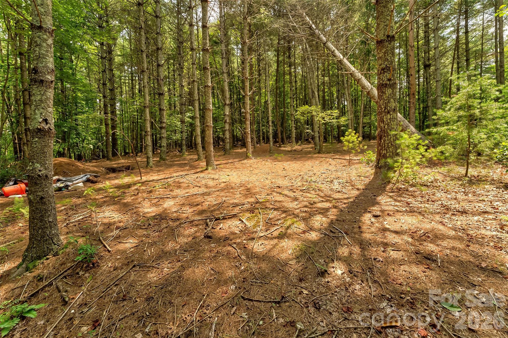 Old Wildlife Club - Land