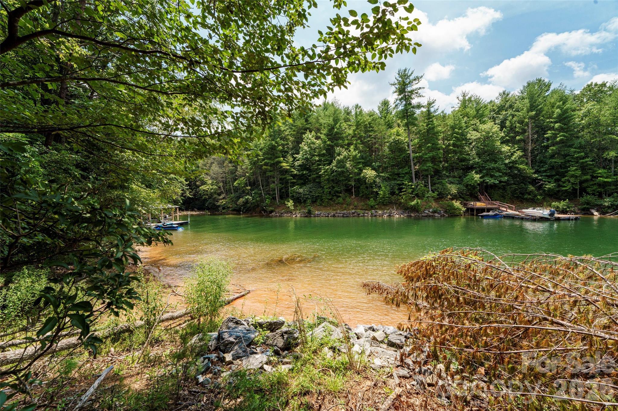 Old Wildlife Club - Land