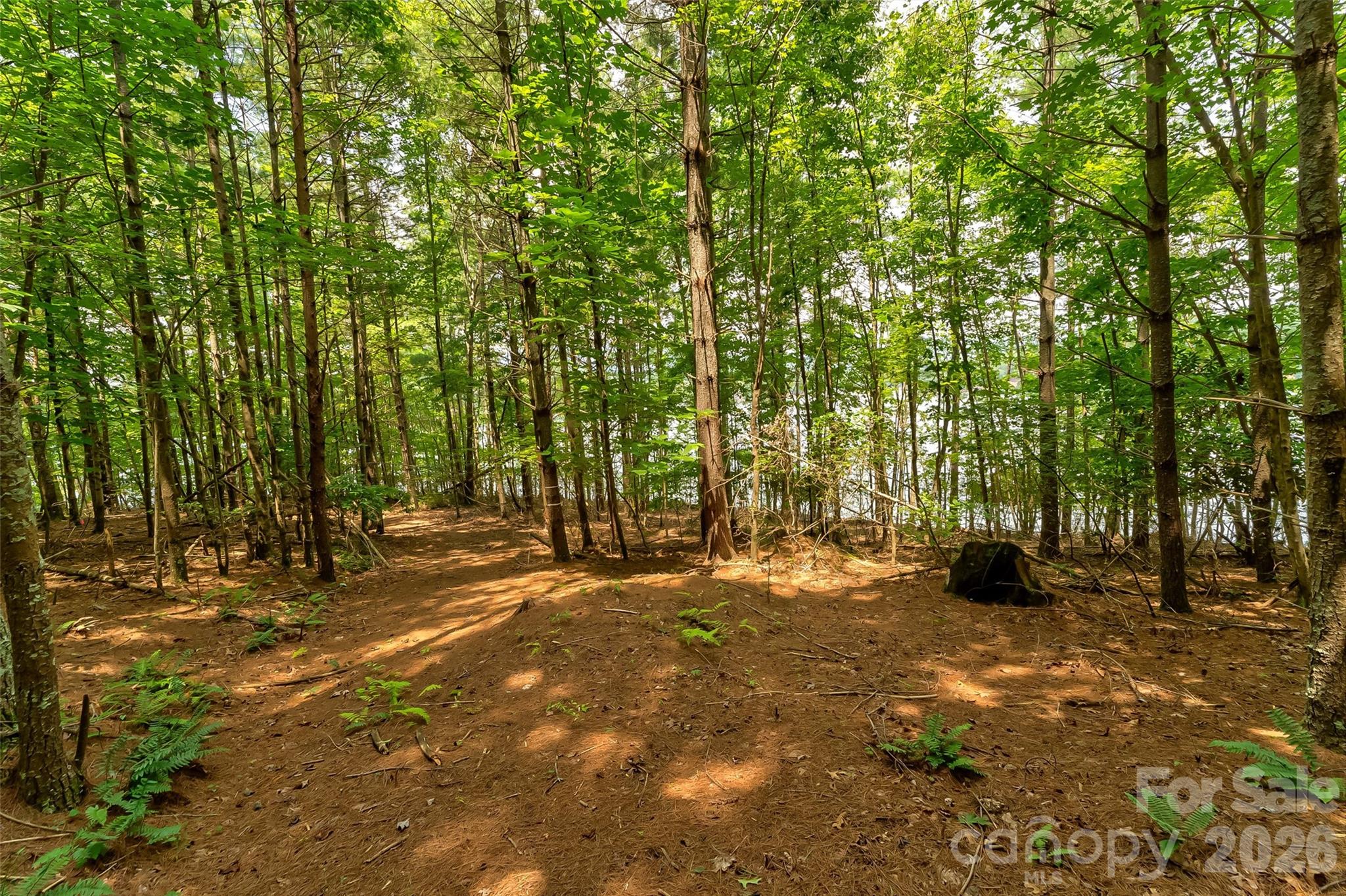 Old Wildlife Club - Land