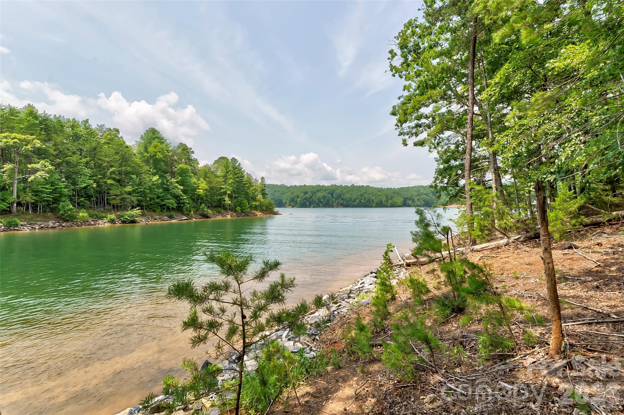 Old Wildlife Club - Land