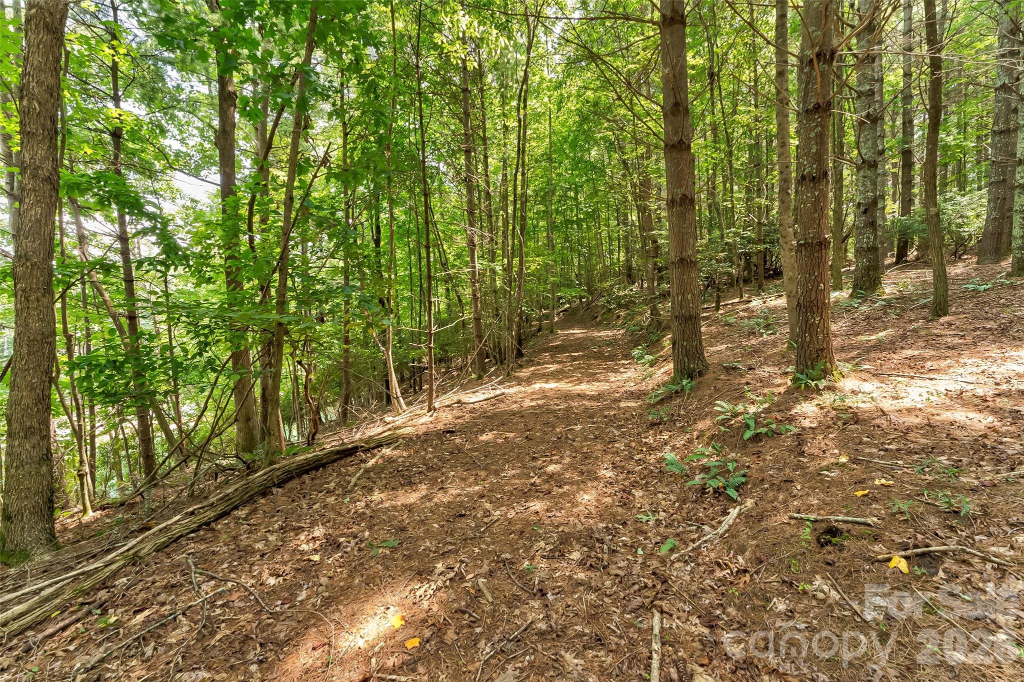 Old Wildlife Club - Land