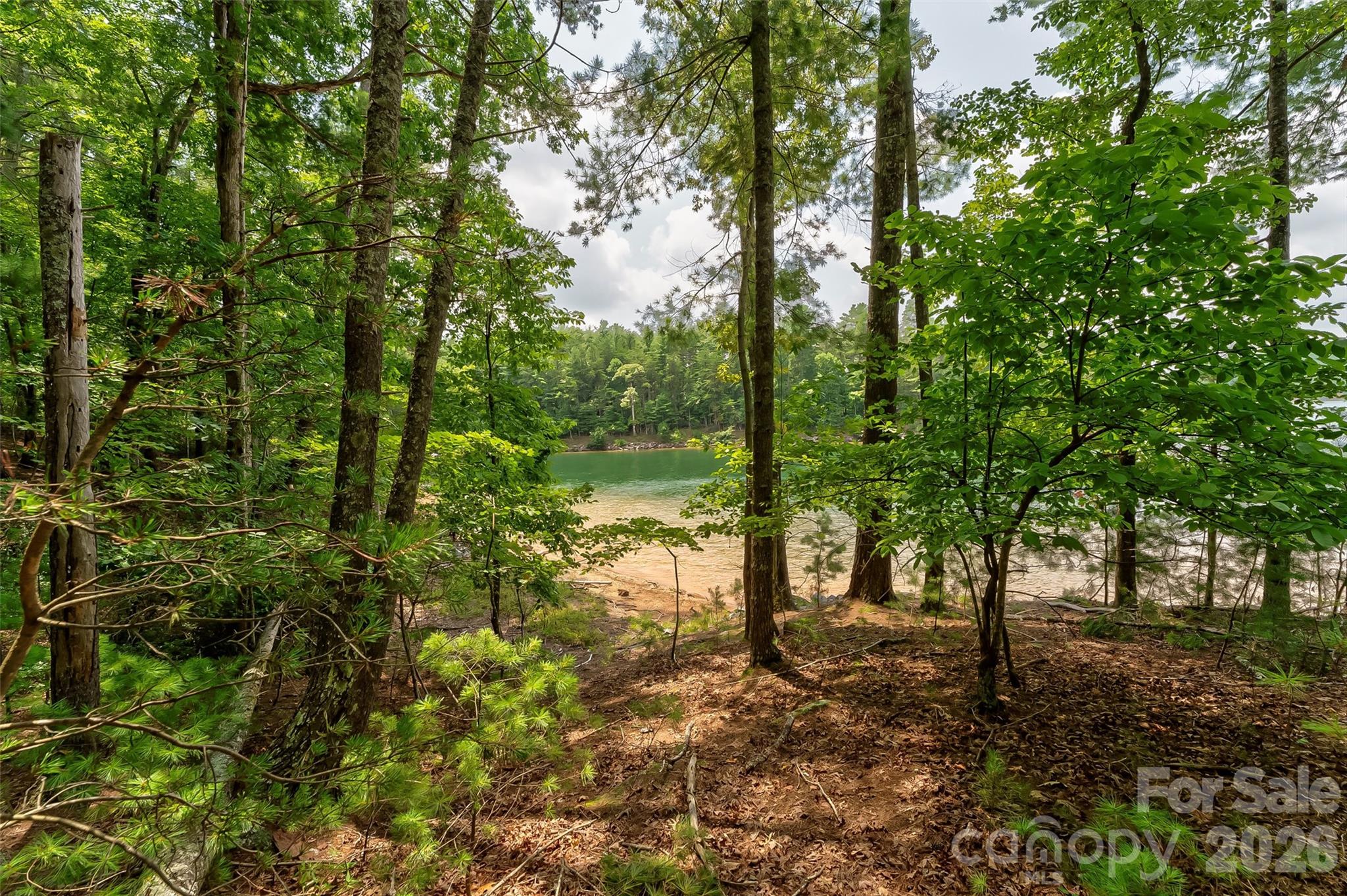 Old Wildlife Club - Land