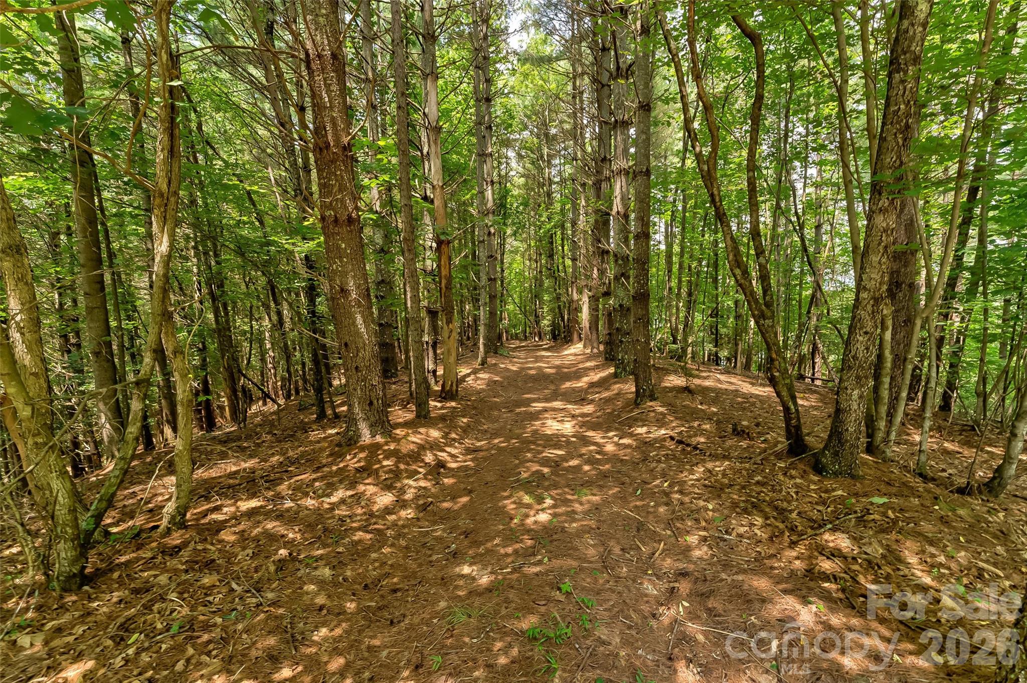 Old Wildlife Club - Land