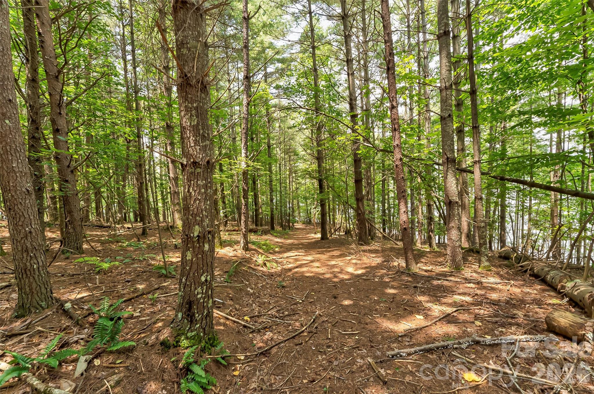 Old Wildlife Club - Land