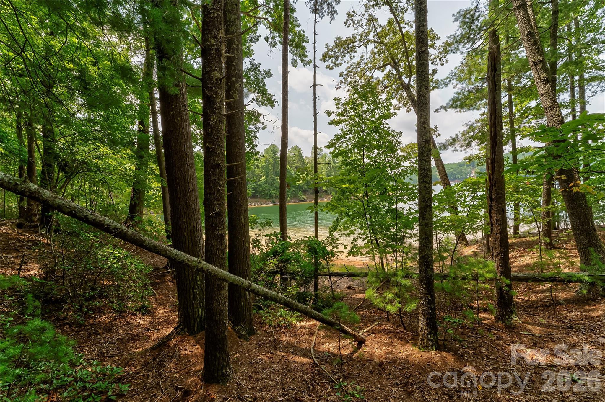 Old Wildlife Club - Land