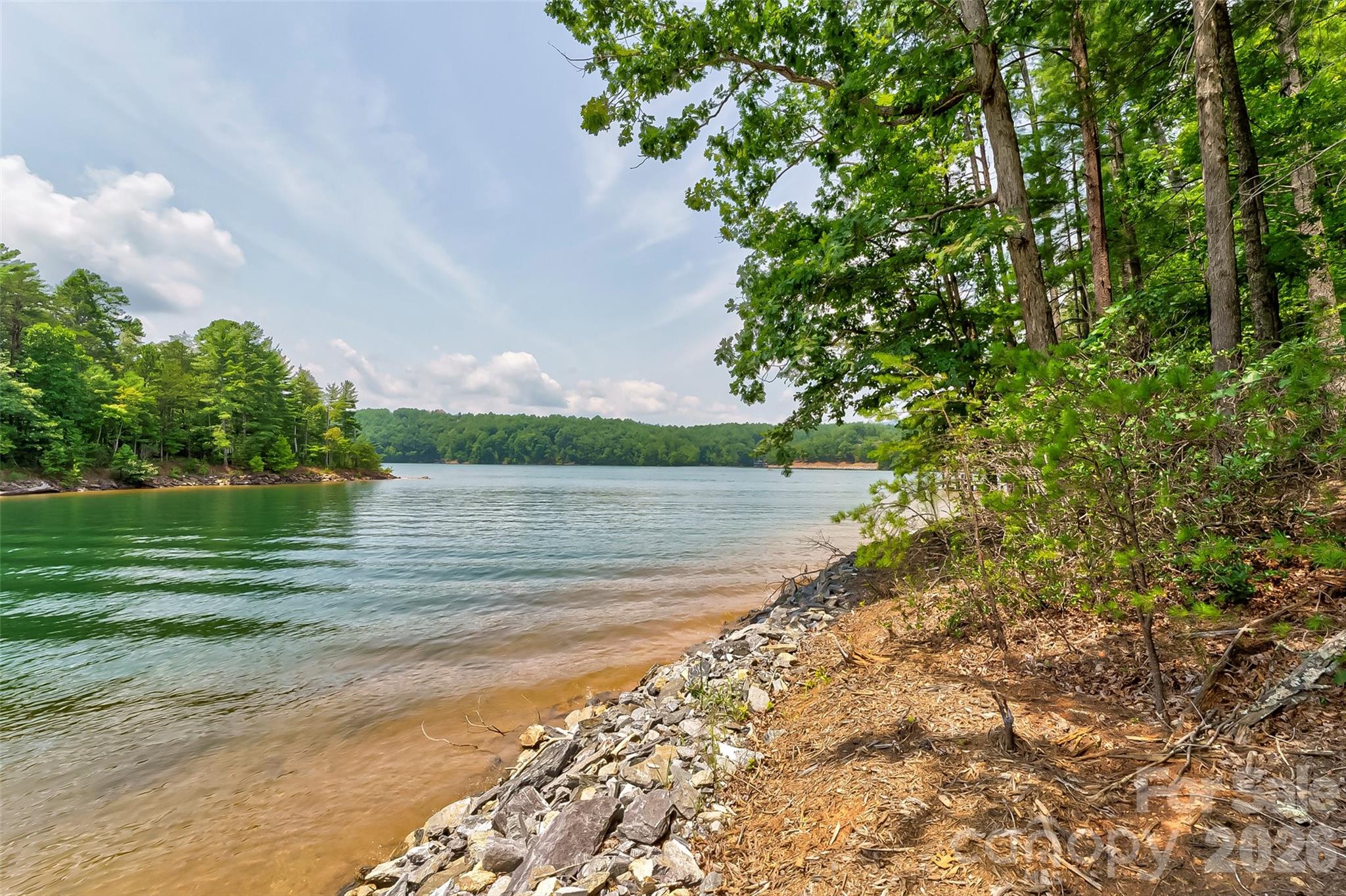 Old Wildlife Club - Land