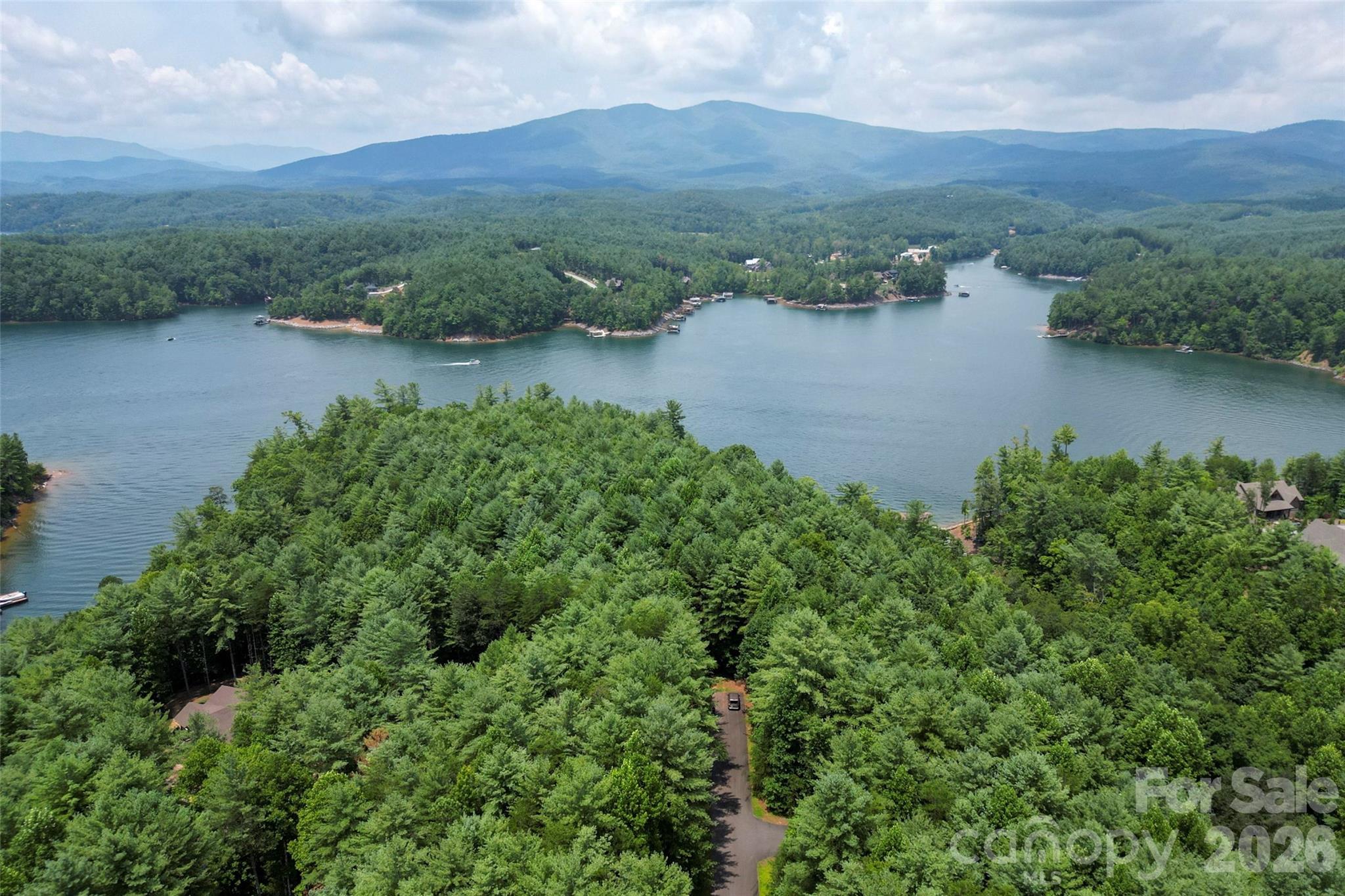 Old Wildlife Club - Land