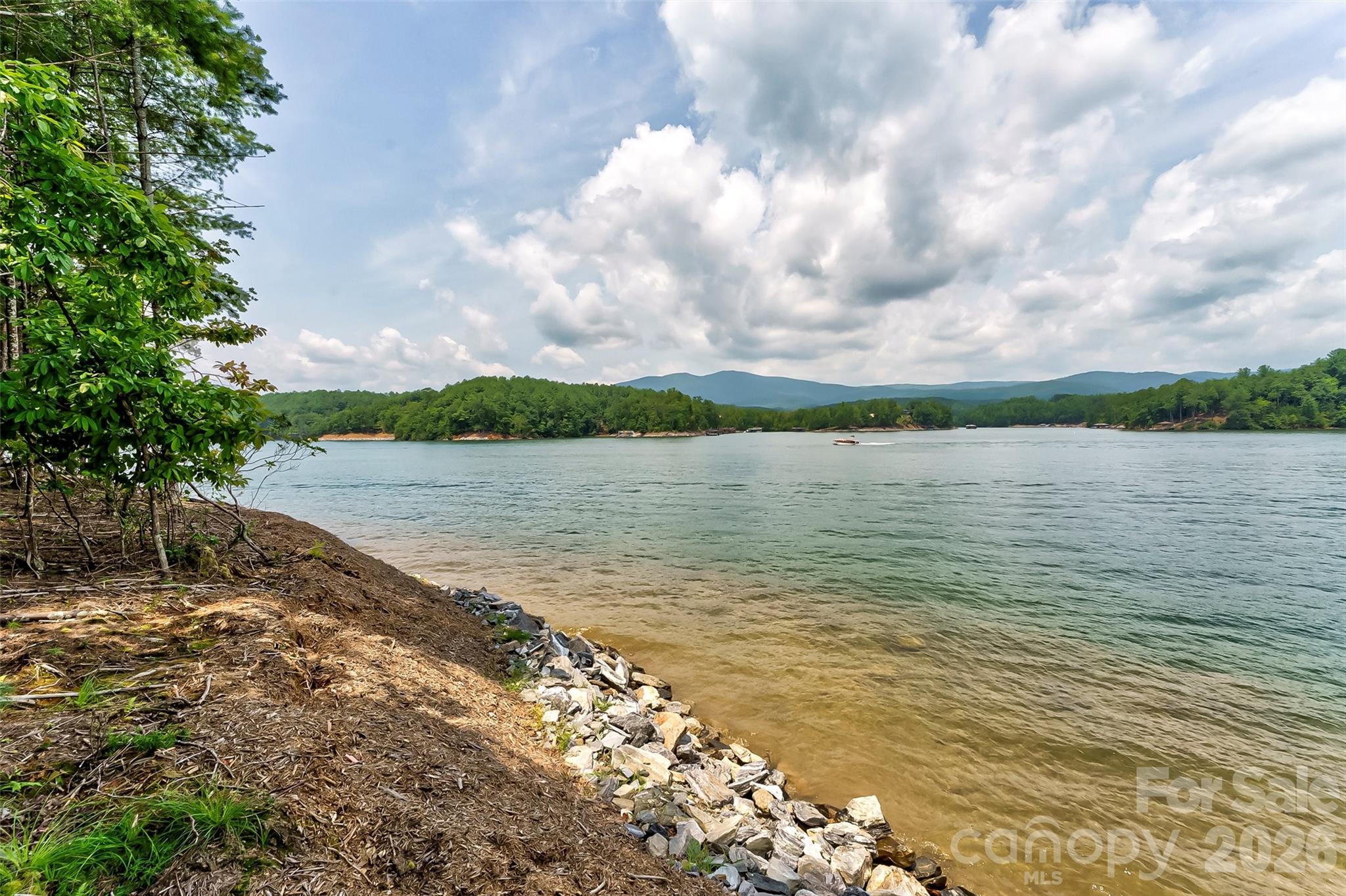 Old Wildlife Club - Land