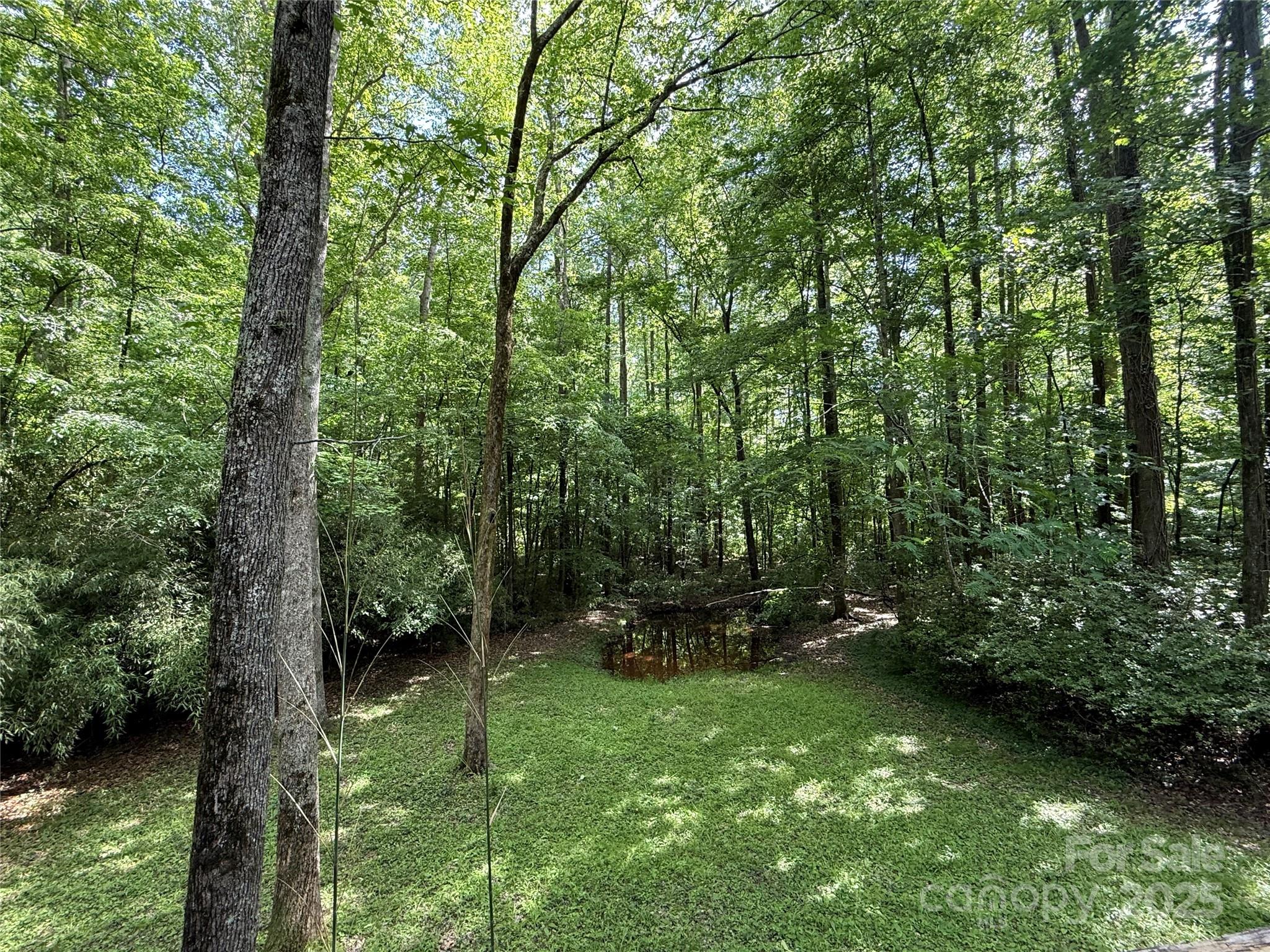 1451 Blueberry Lane