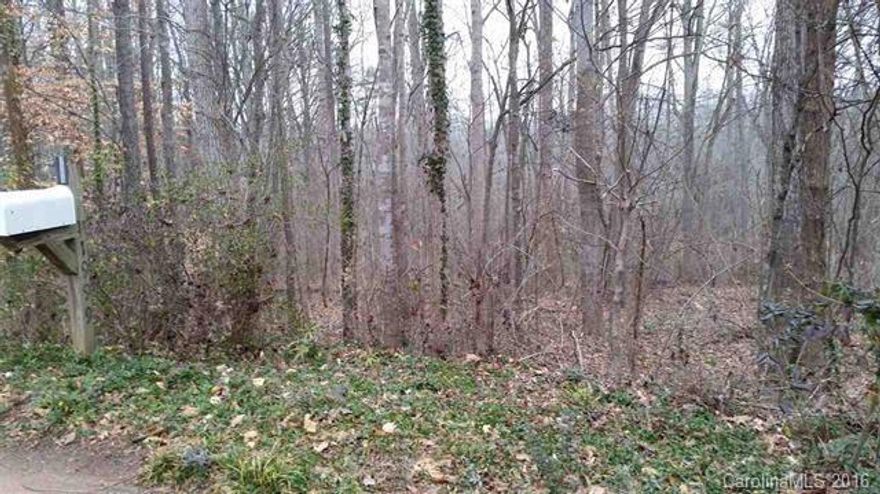 Great building in Olde Williamsburg. Lots of trees. Award winning Ft. Mill Schools. Perfect to build your dream home.