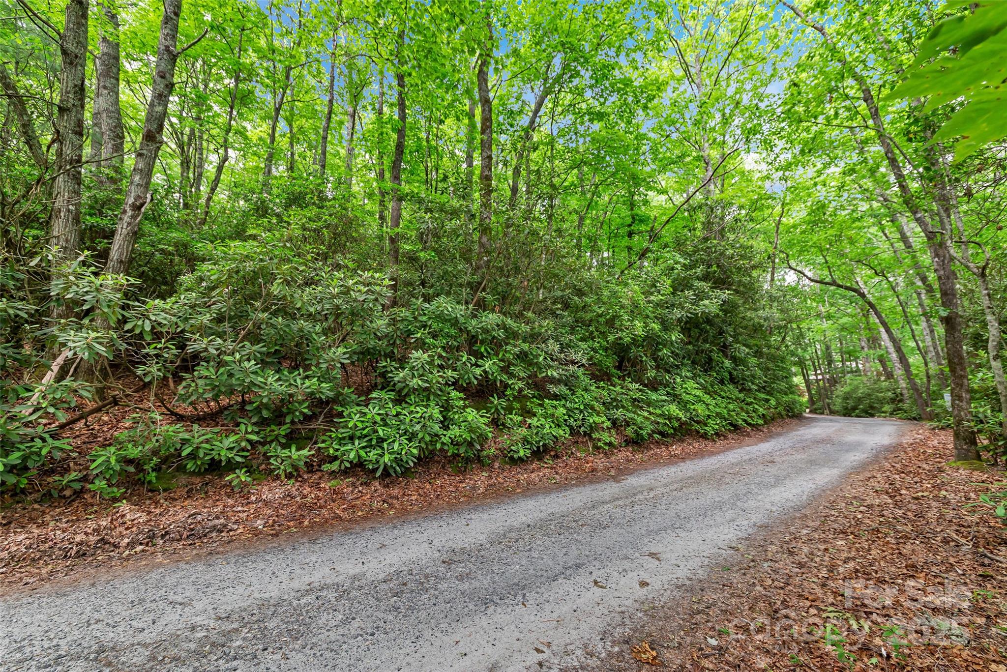 000 Squirrel Run Road