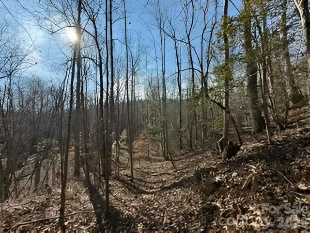 3825 Wood Glen Drive 5