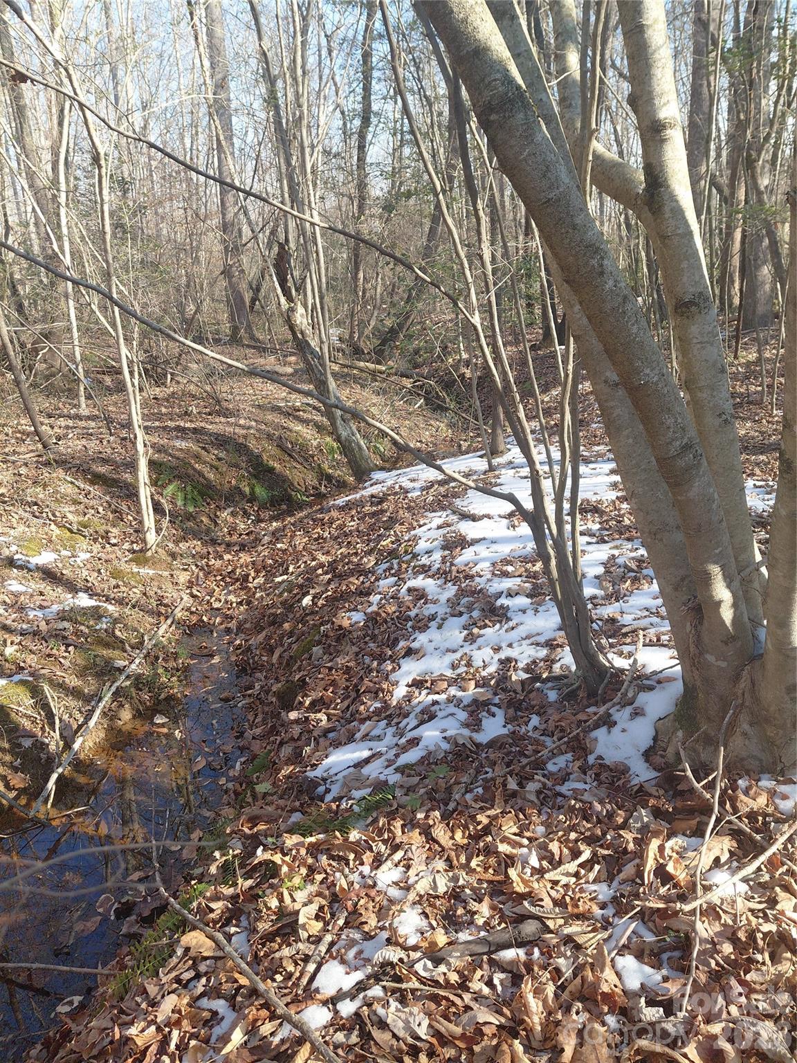 3825 Wood Glen Drive 5