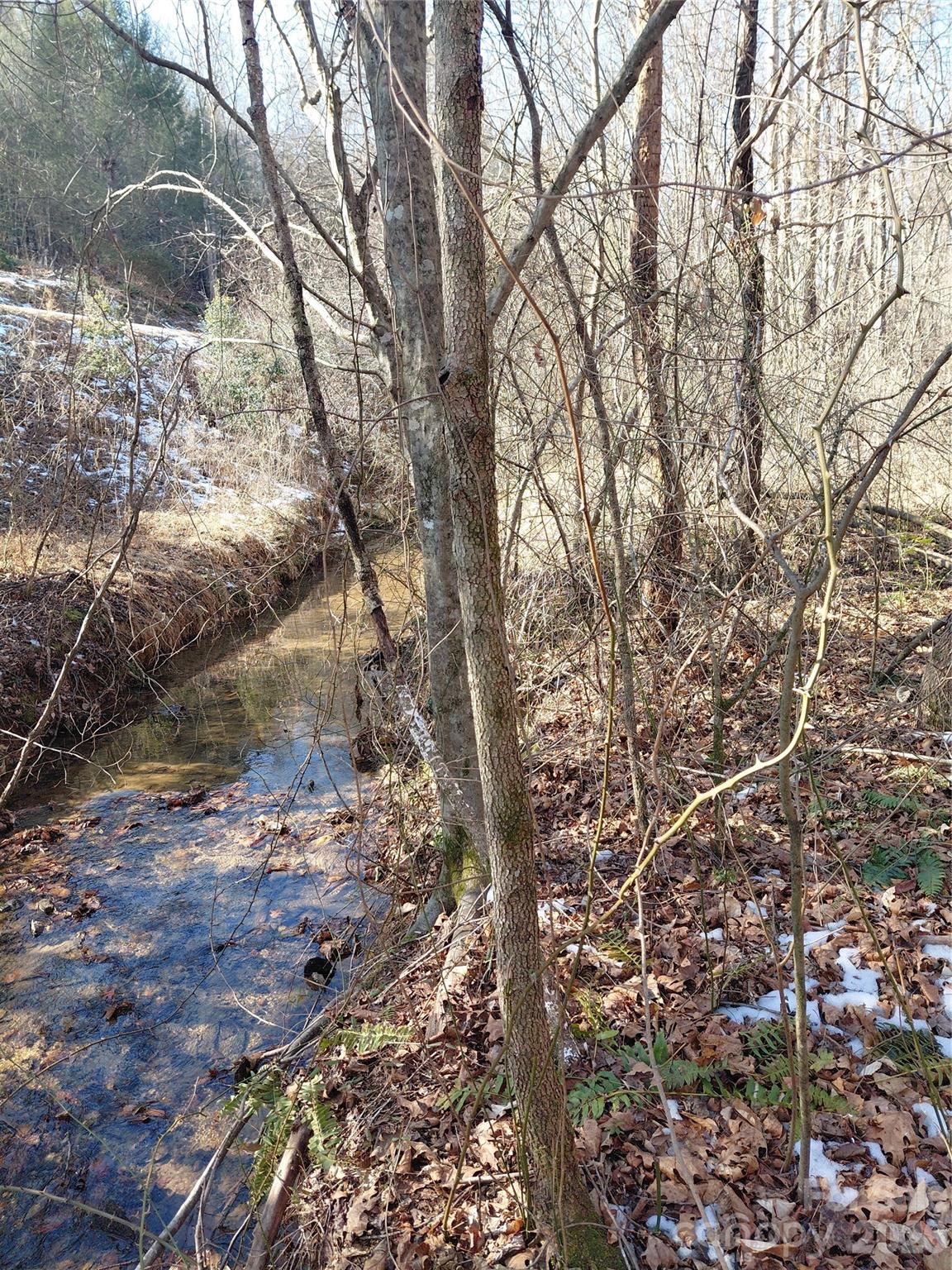 3825 Wood Glen Drive 5