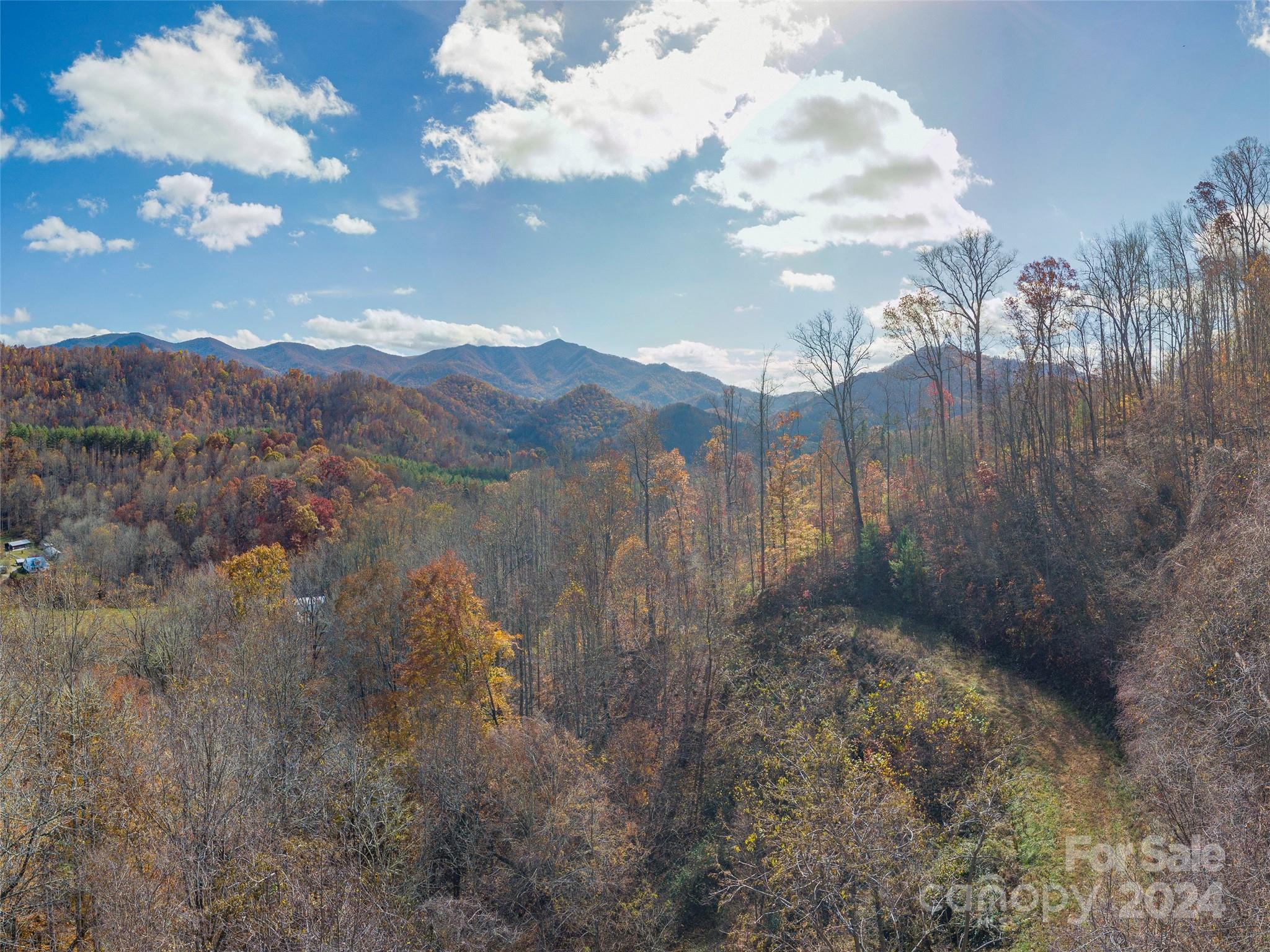 Wesley Creek Estates - Land