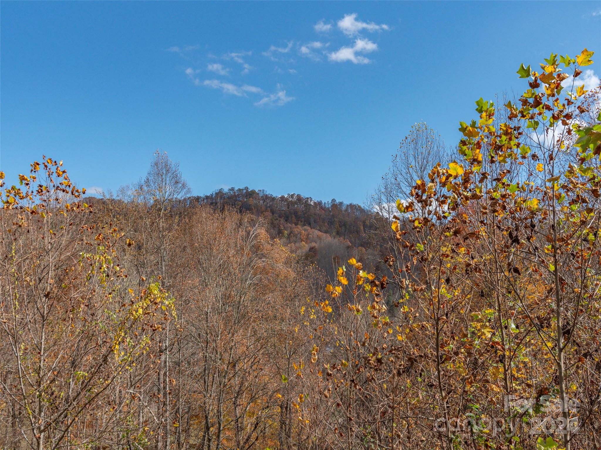 Wesley Creek Estates - Land