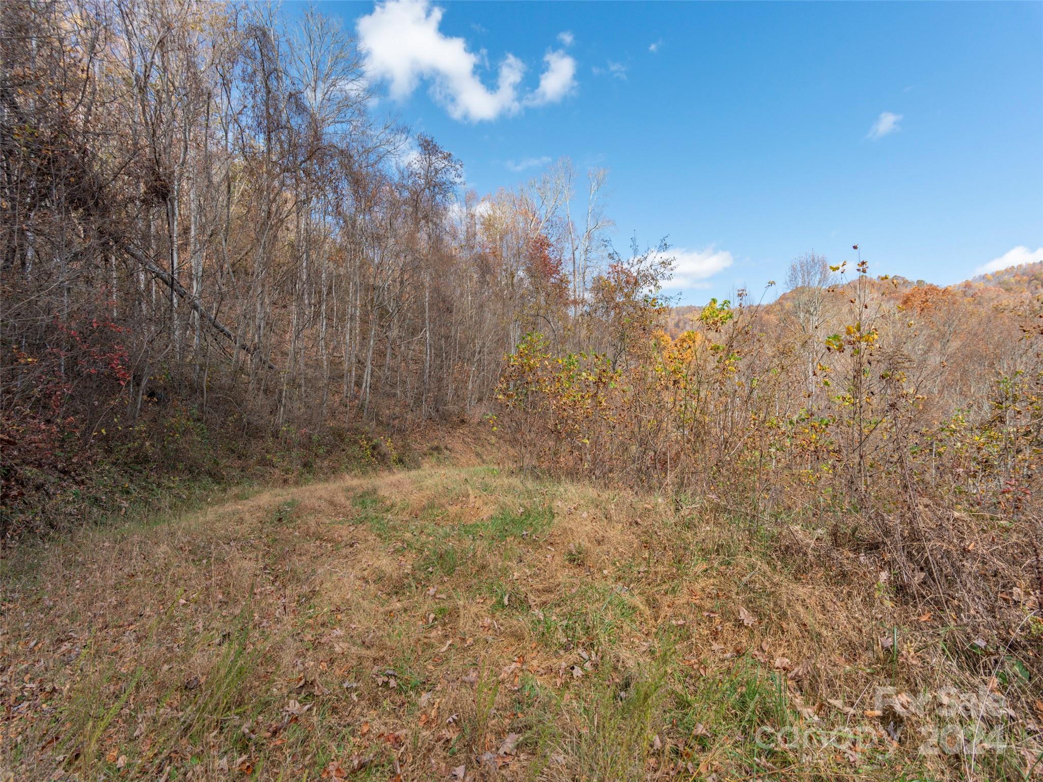 Wesley Creek Estates - Land